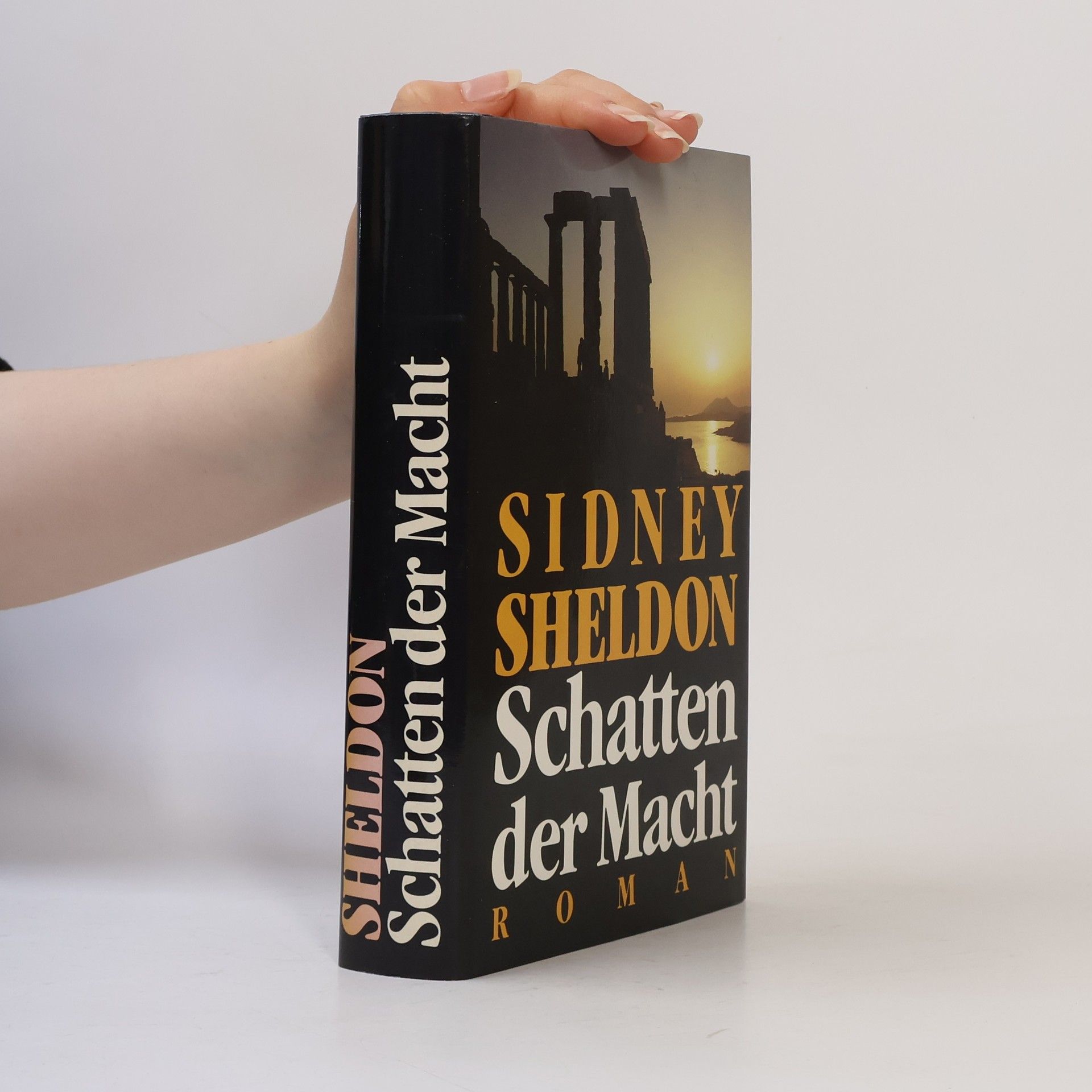 Sidney Sheldon Schatten der Macht