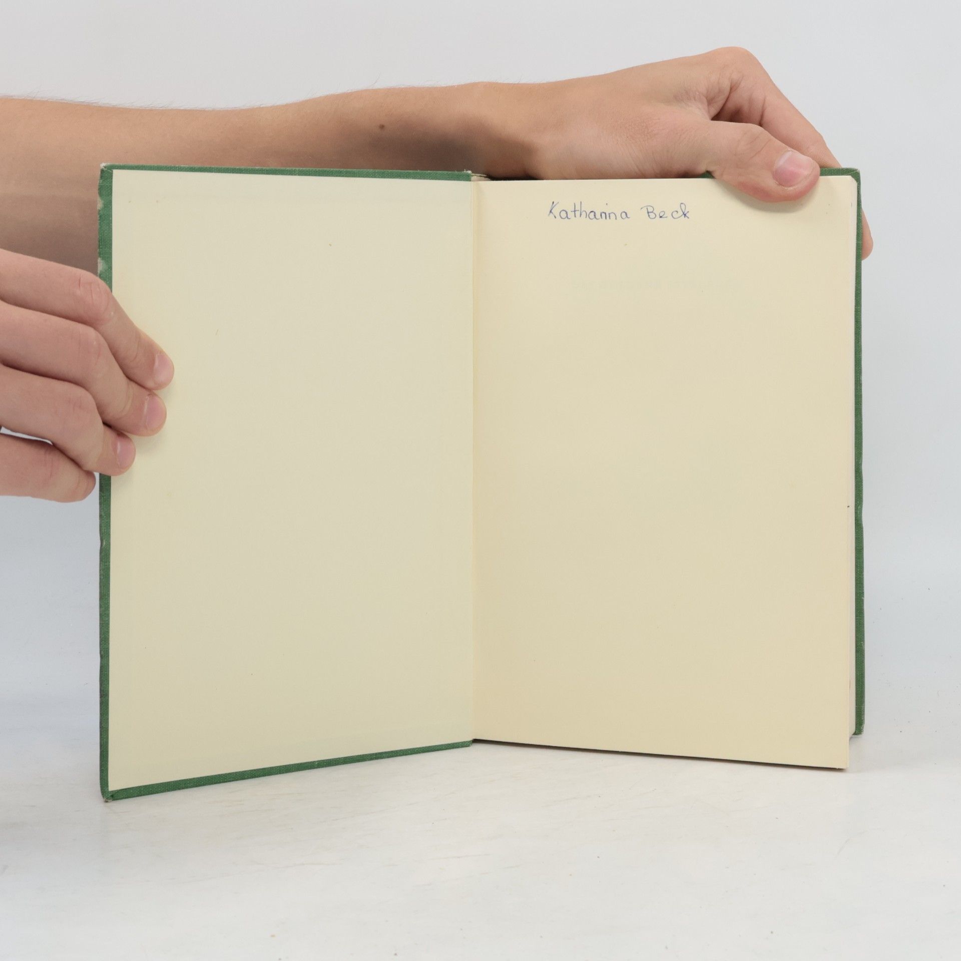 Kolektív autorov Das Goldene Spyri-Buch