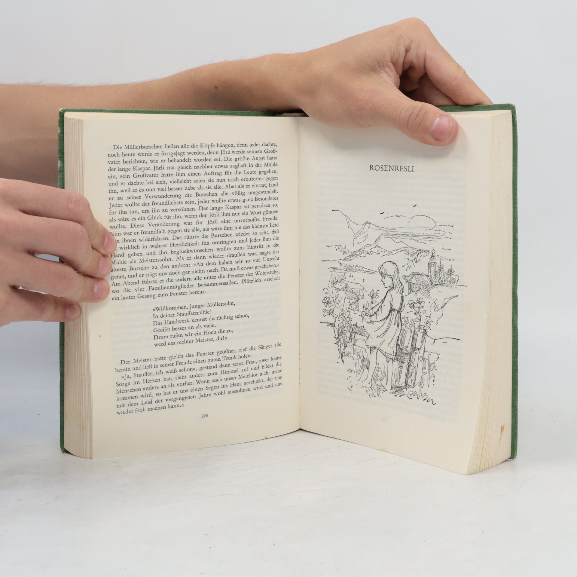 Kolektív autorov Das Goldene Spyri-Buch