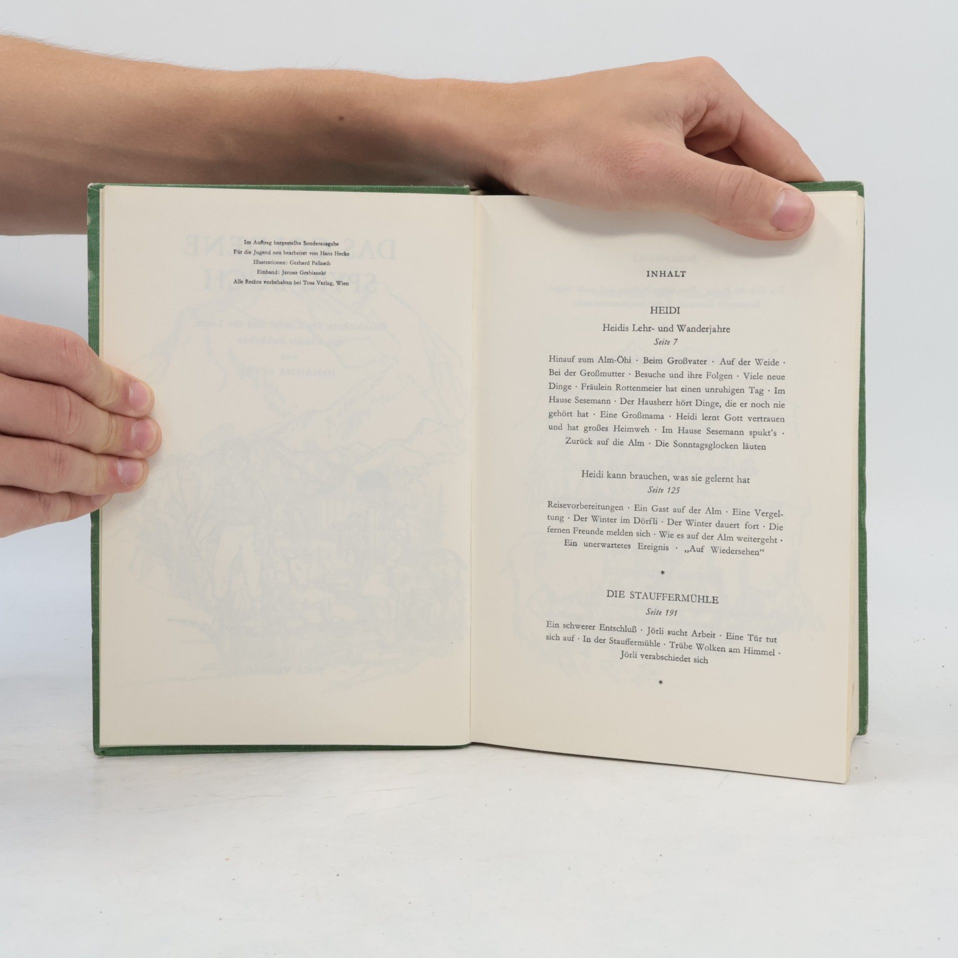 Kolektív autorov Das Goldene Spyri-Buch