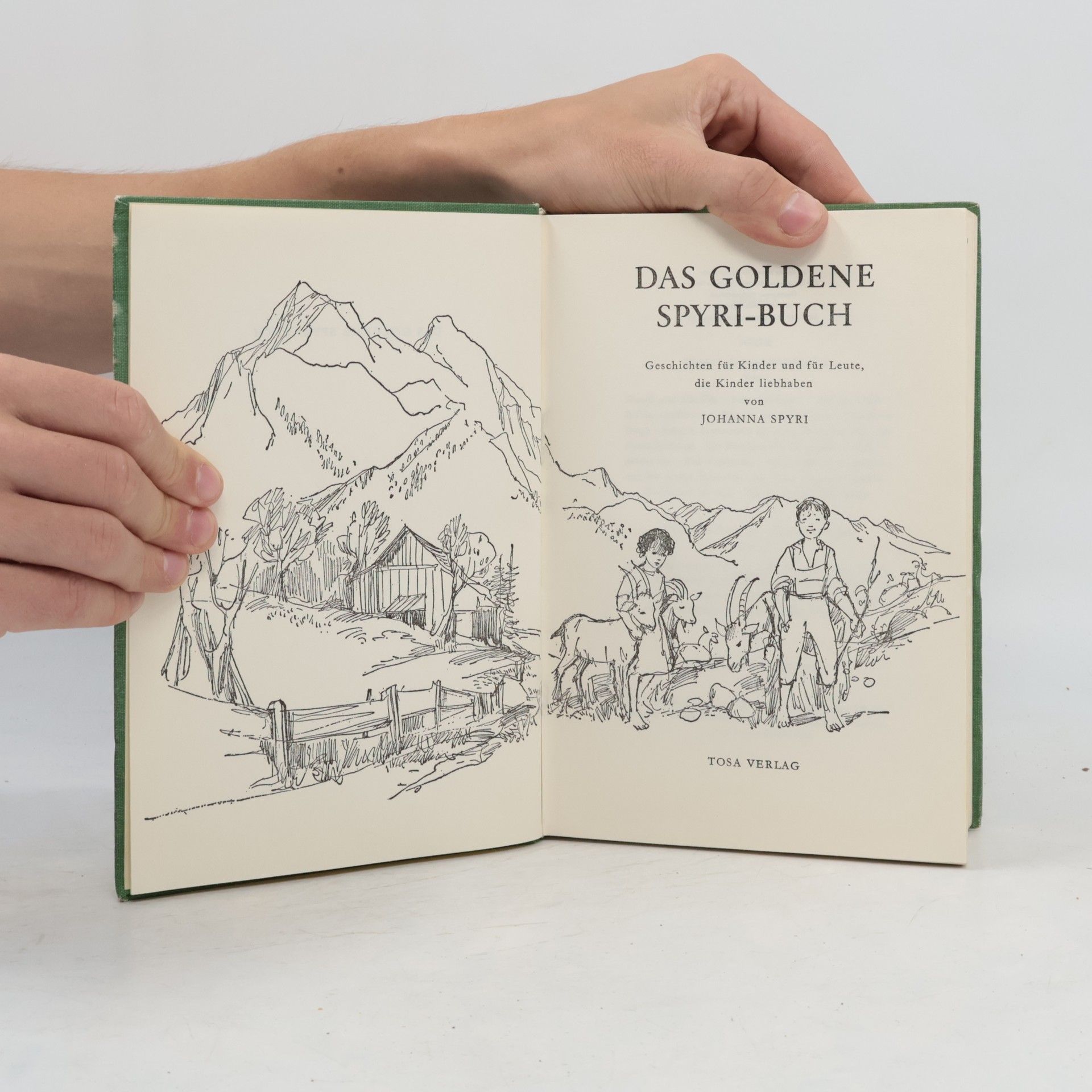 Kolektív autorov Das Goldene Spyri-Buch