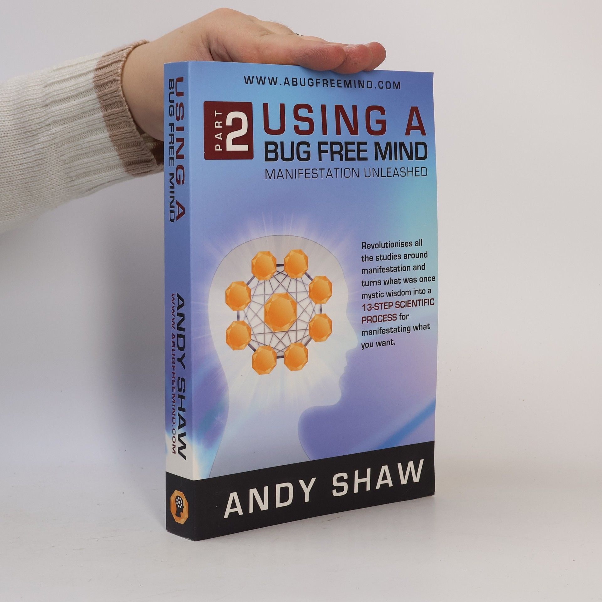 Using a Bug Free Mind: Manifestation Unleashed, Part 2