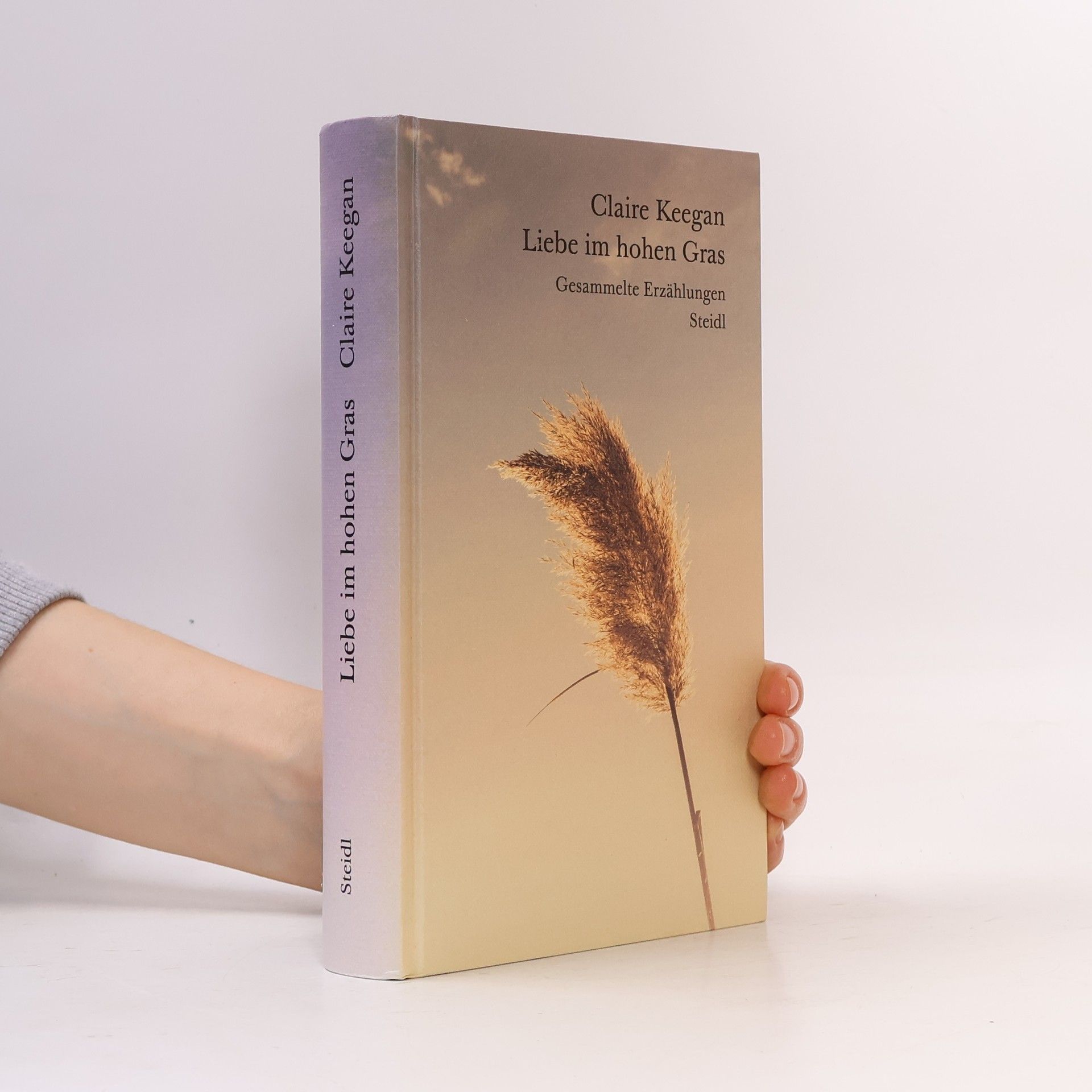 Claire Keegan Liebe im hohen Gras