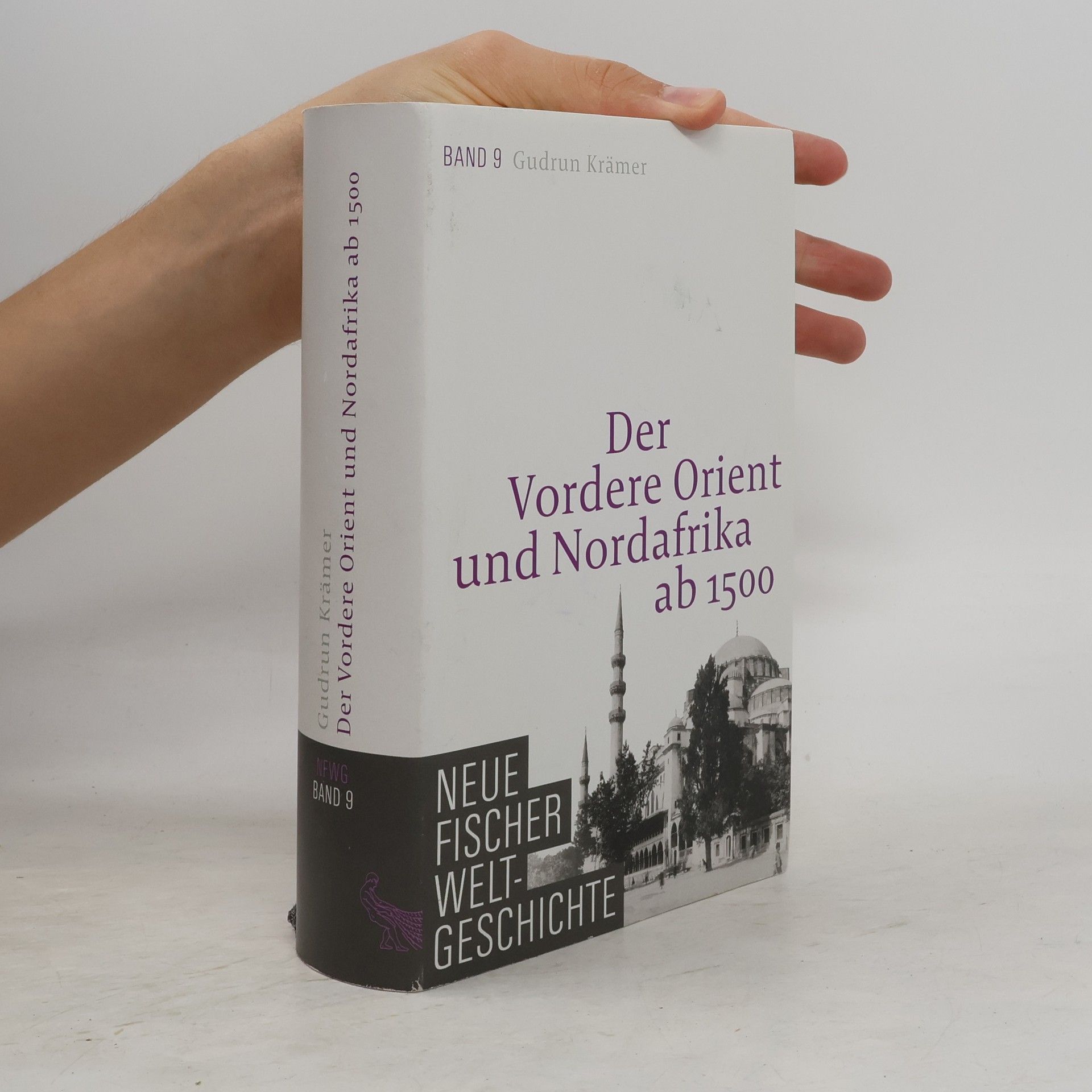 Neue Fischer Weltgeschichte. Band 9