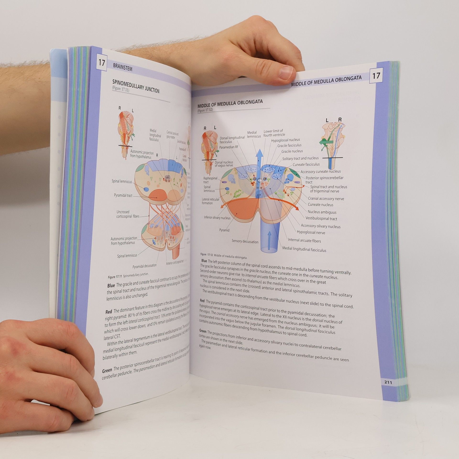 Estomih Mtui Clinical Neuroanatomy and Neuroscience