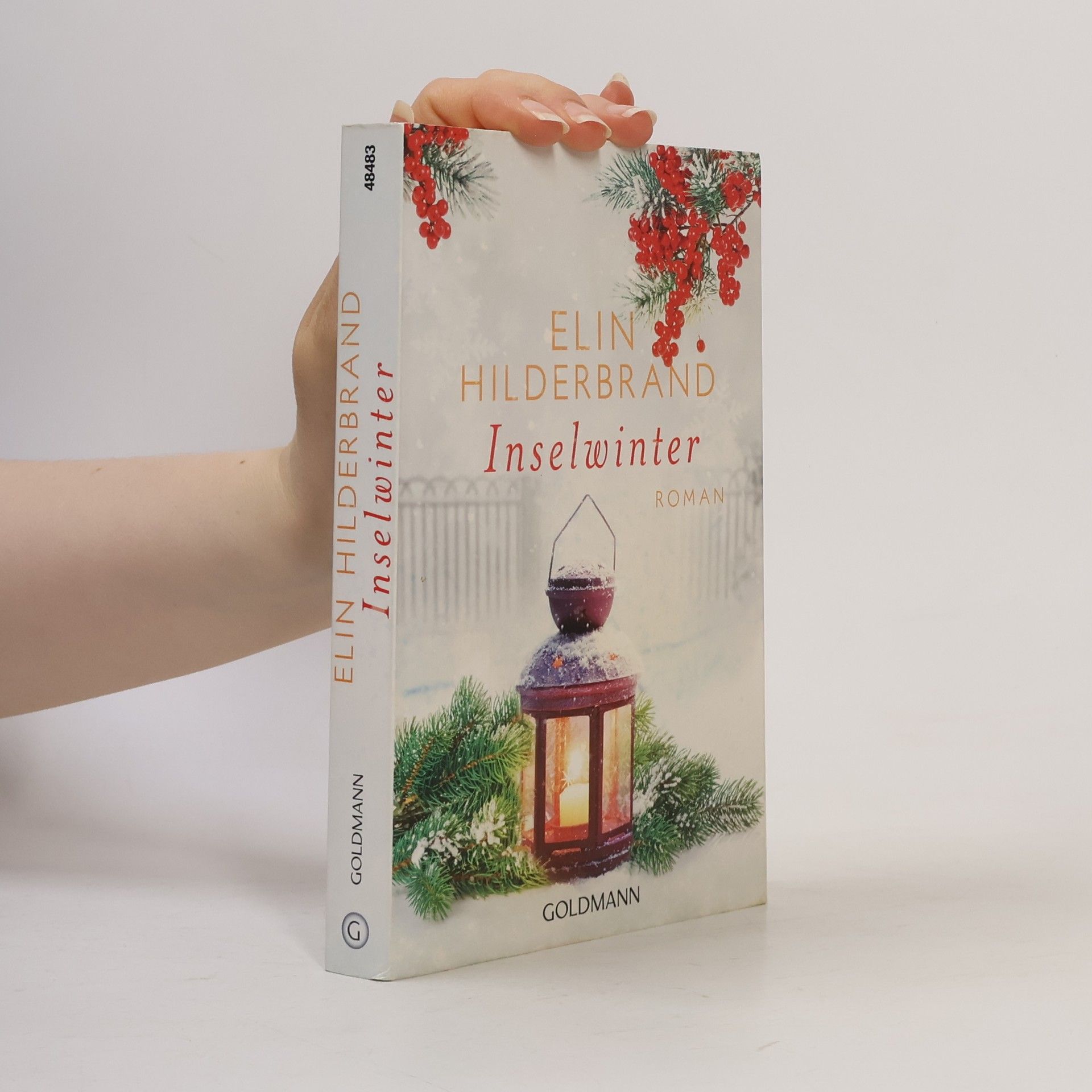 Elin Hilderbrand Inselwinter