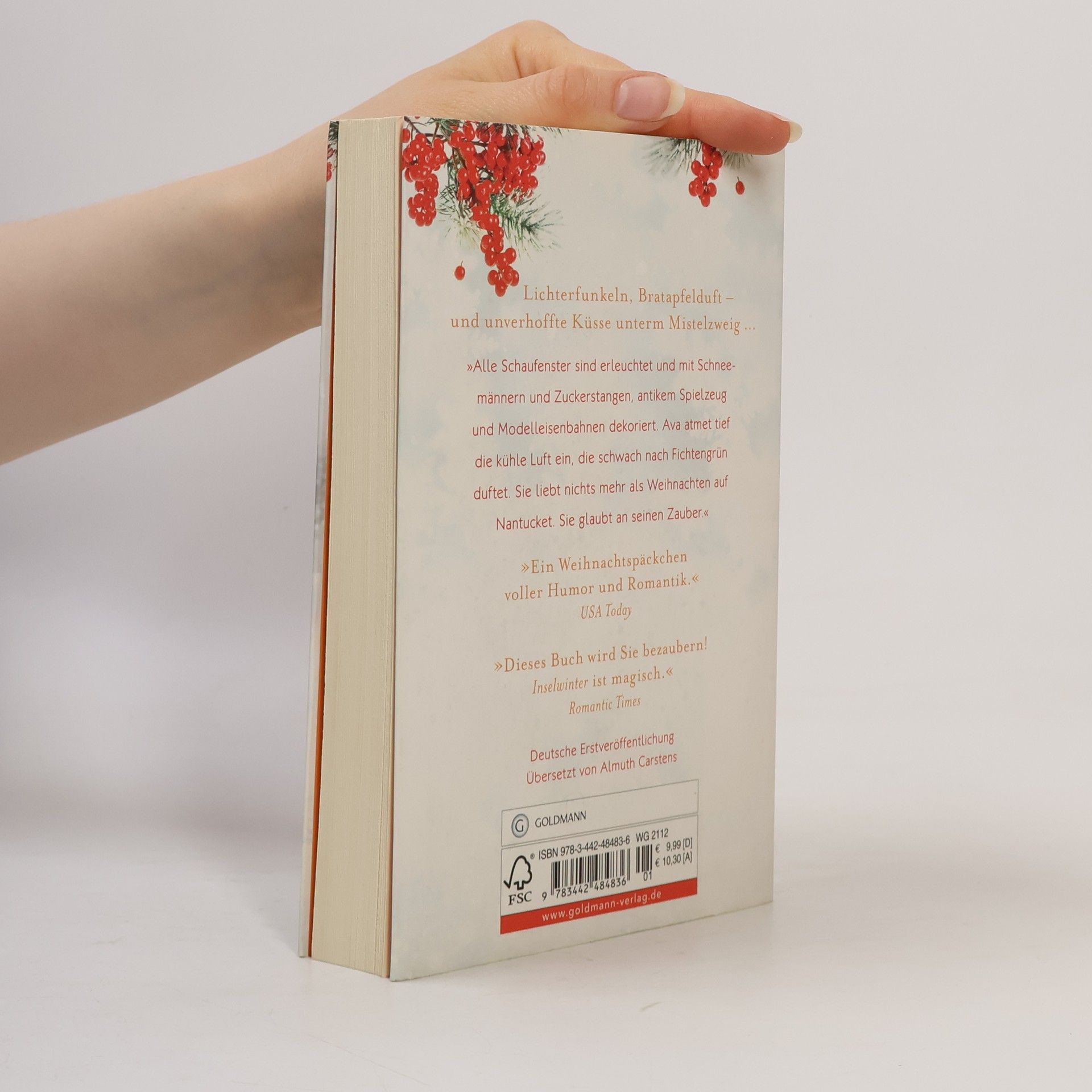 Elin Hilderbrand Inselwinter