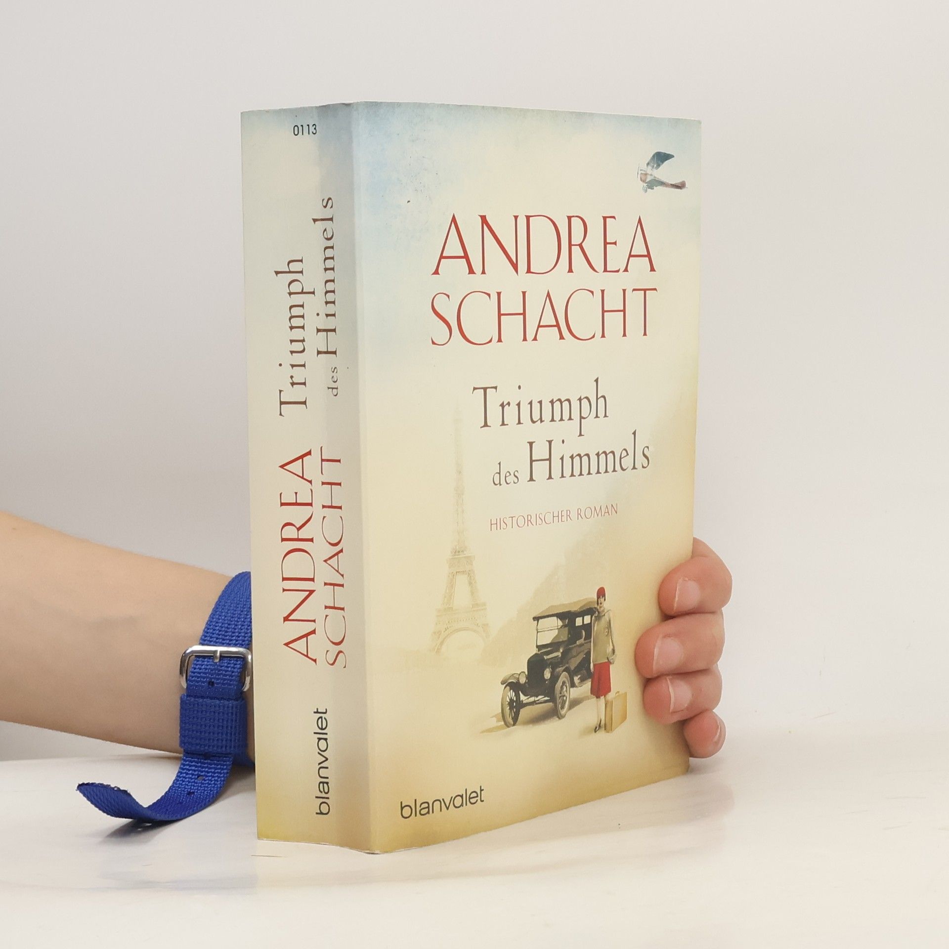 Andrea Schacht Triumph des Himmels