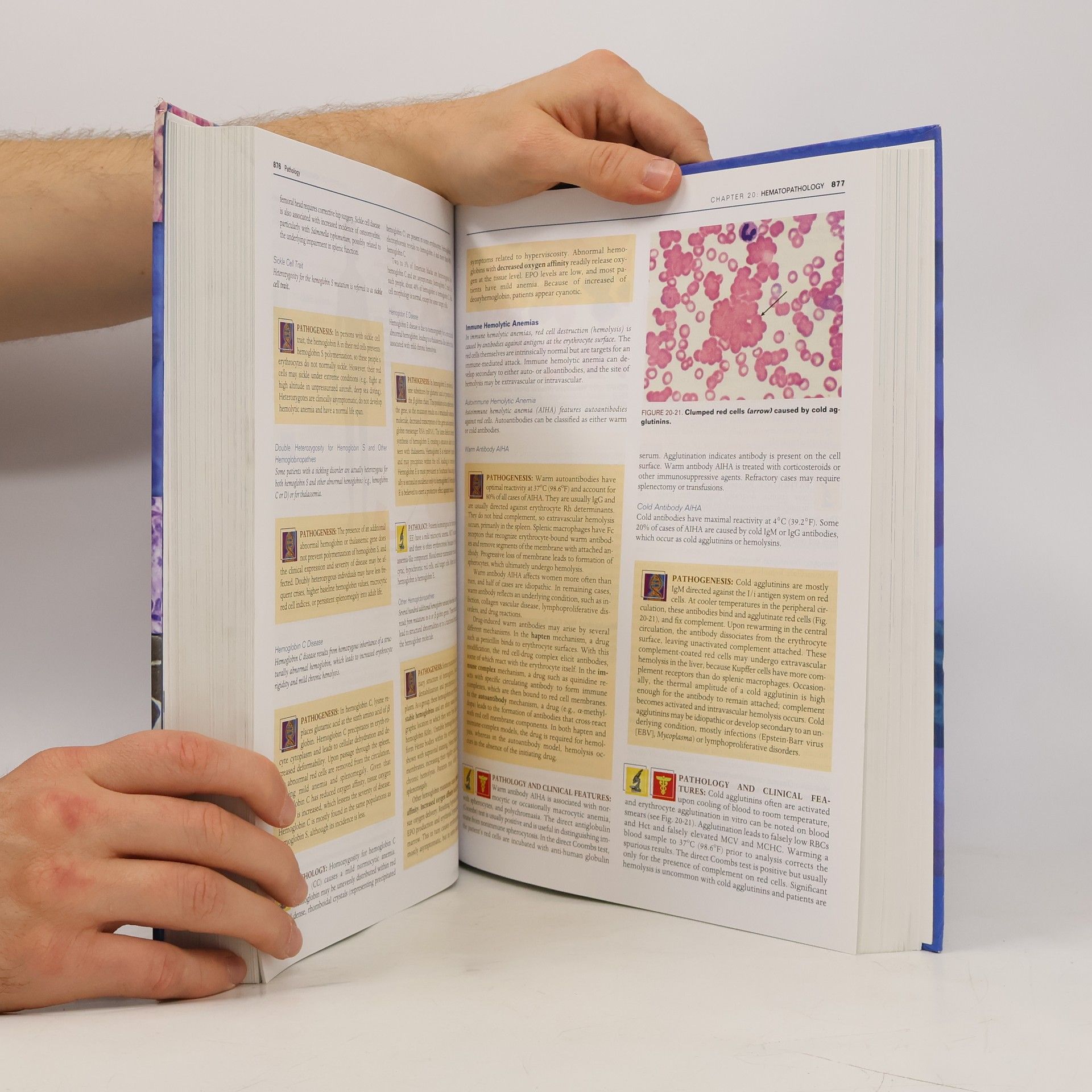 Various authors Rubin's pathology