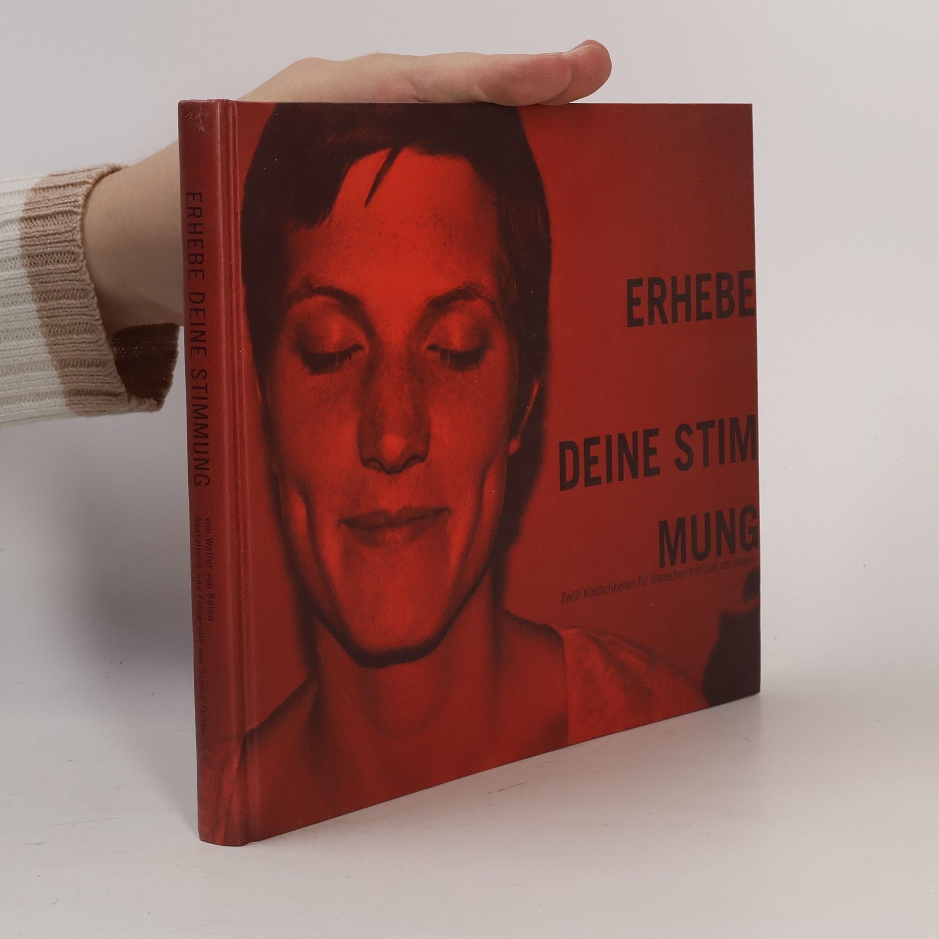 Svenja Thilker Erhebe Deine Stimmung