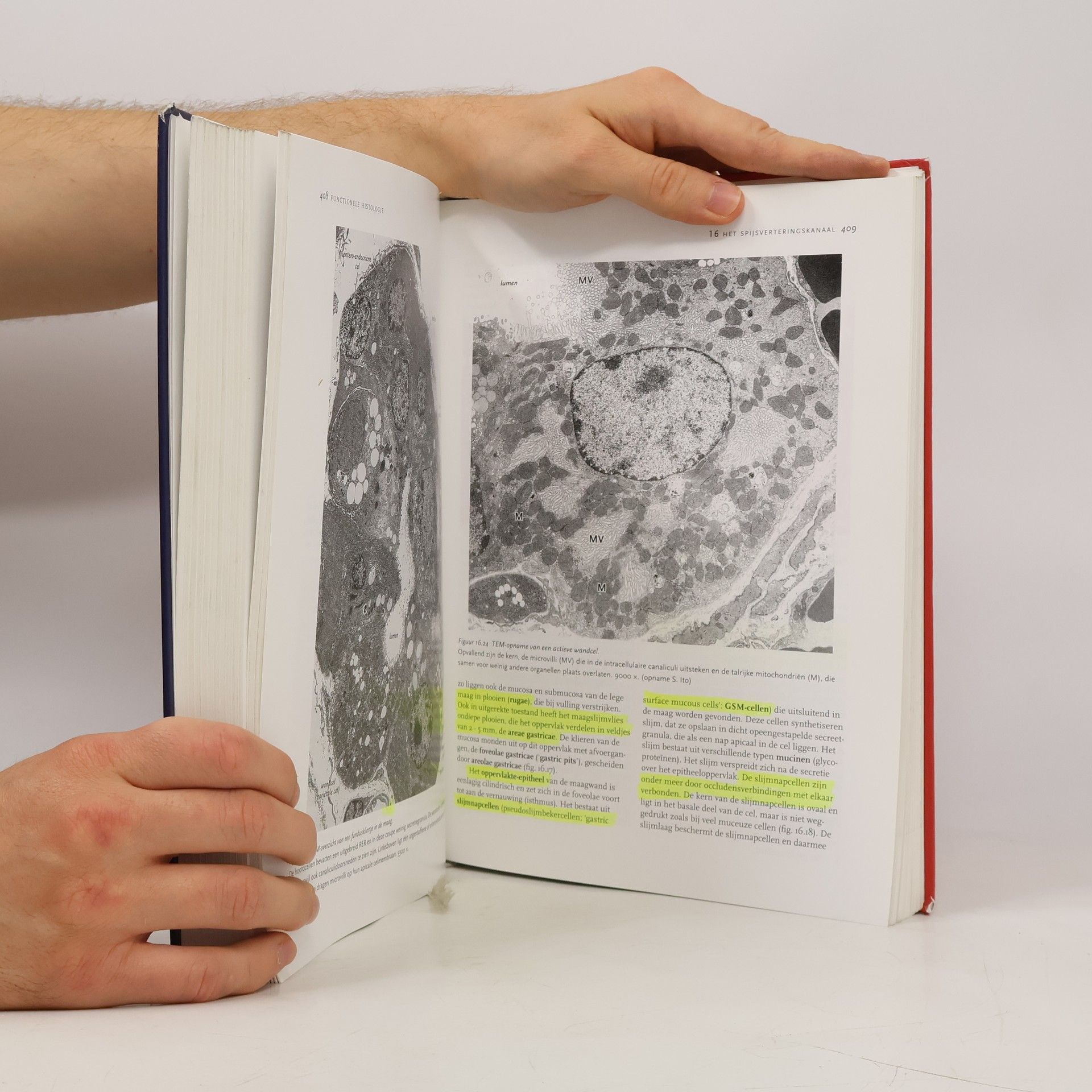 L. Carlos Jungueira Functionele histologie