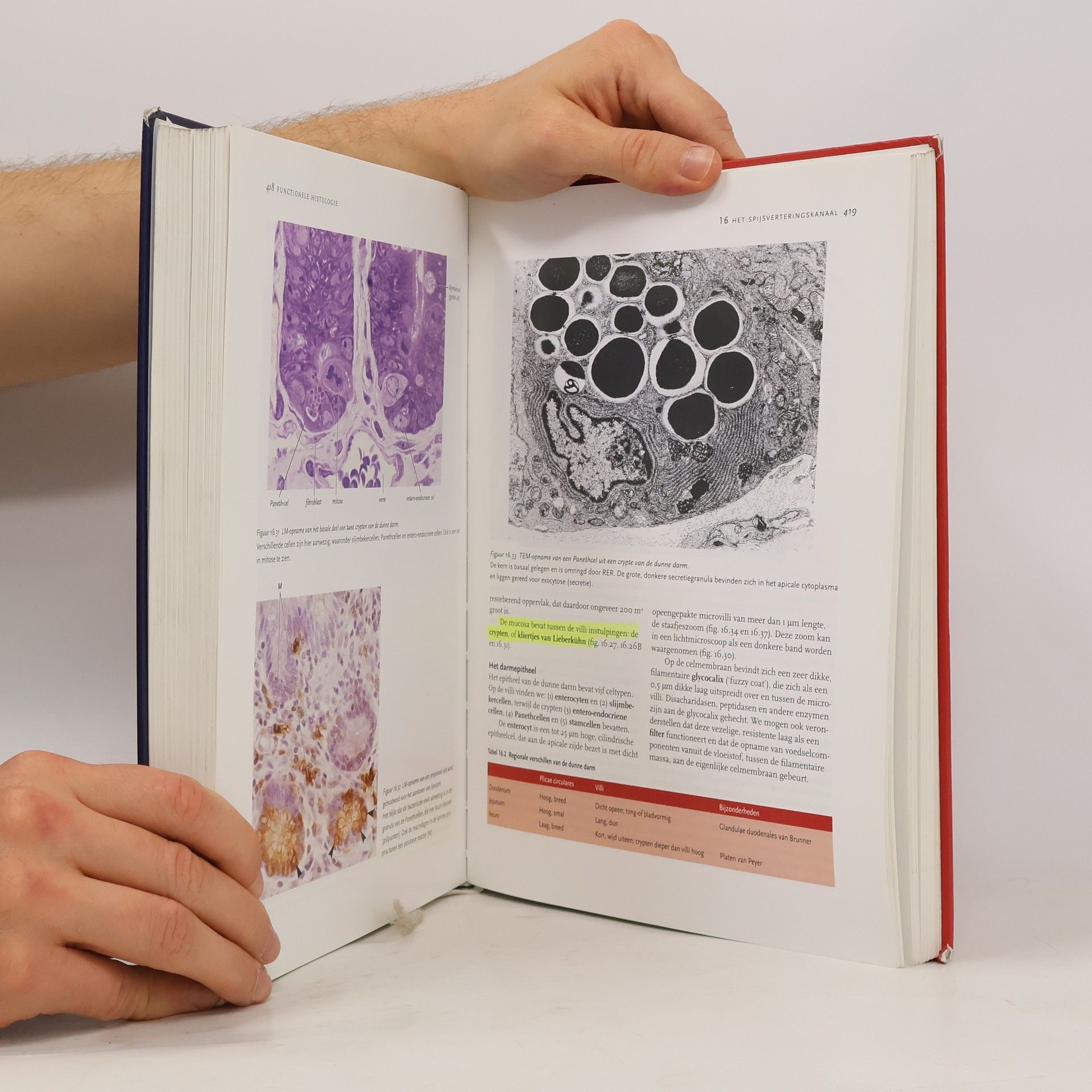 L. Carlos Jungueira Functionele histologie