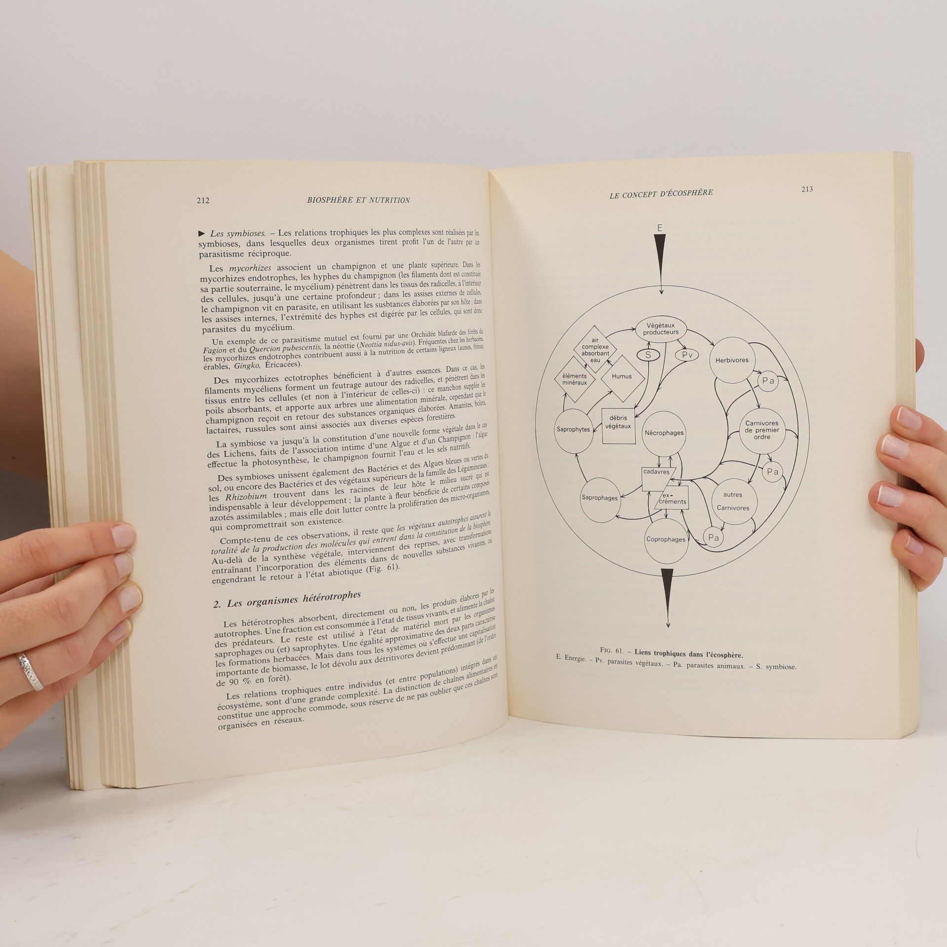 René Braque Biogéographie des continents