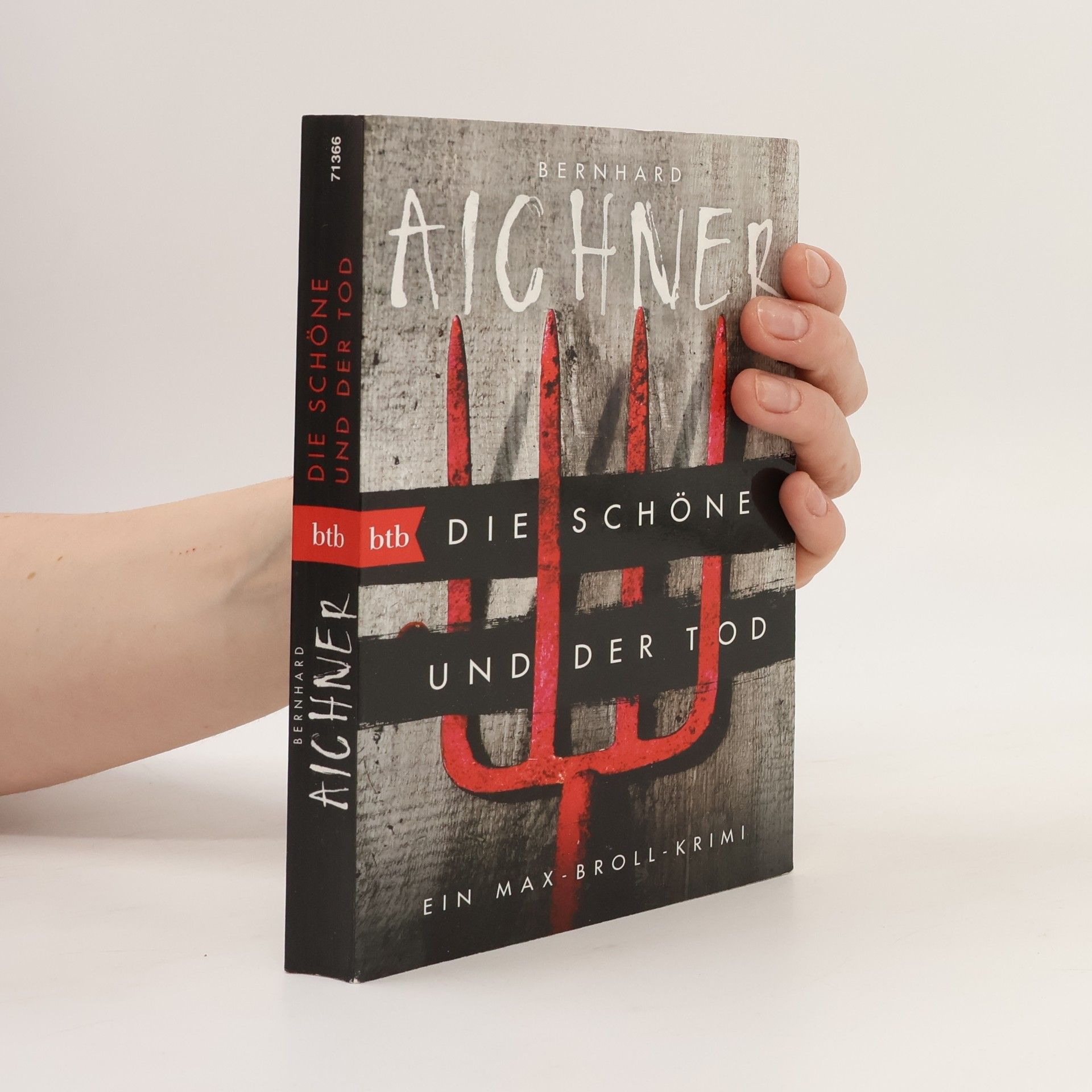 Bernhard Aichner Die Schöne und der Tod