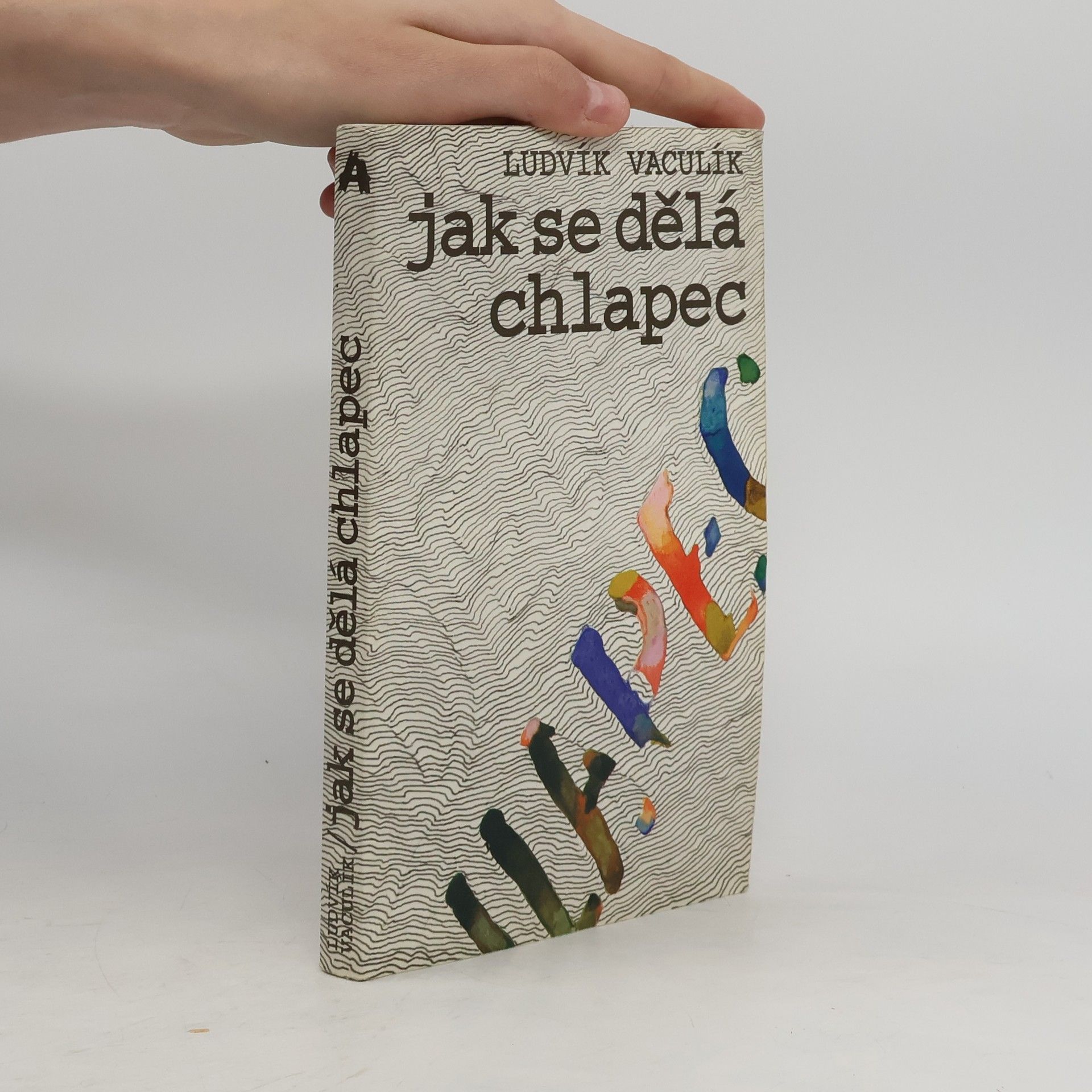 Ludvík Vaculík Jak se dělá chlapec