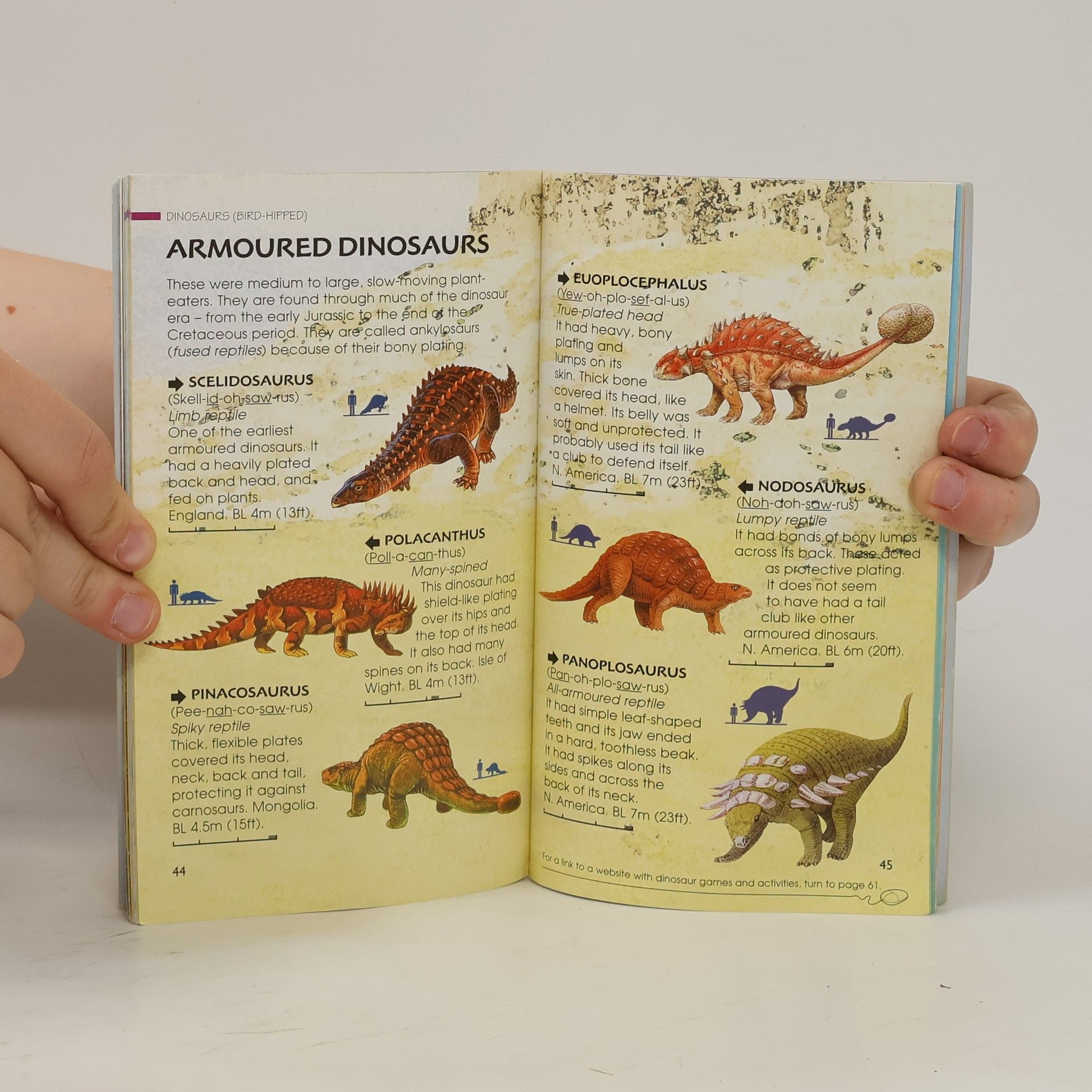 David Norman Usborne Spotters Guides: Dinosaurs