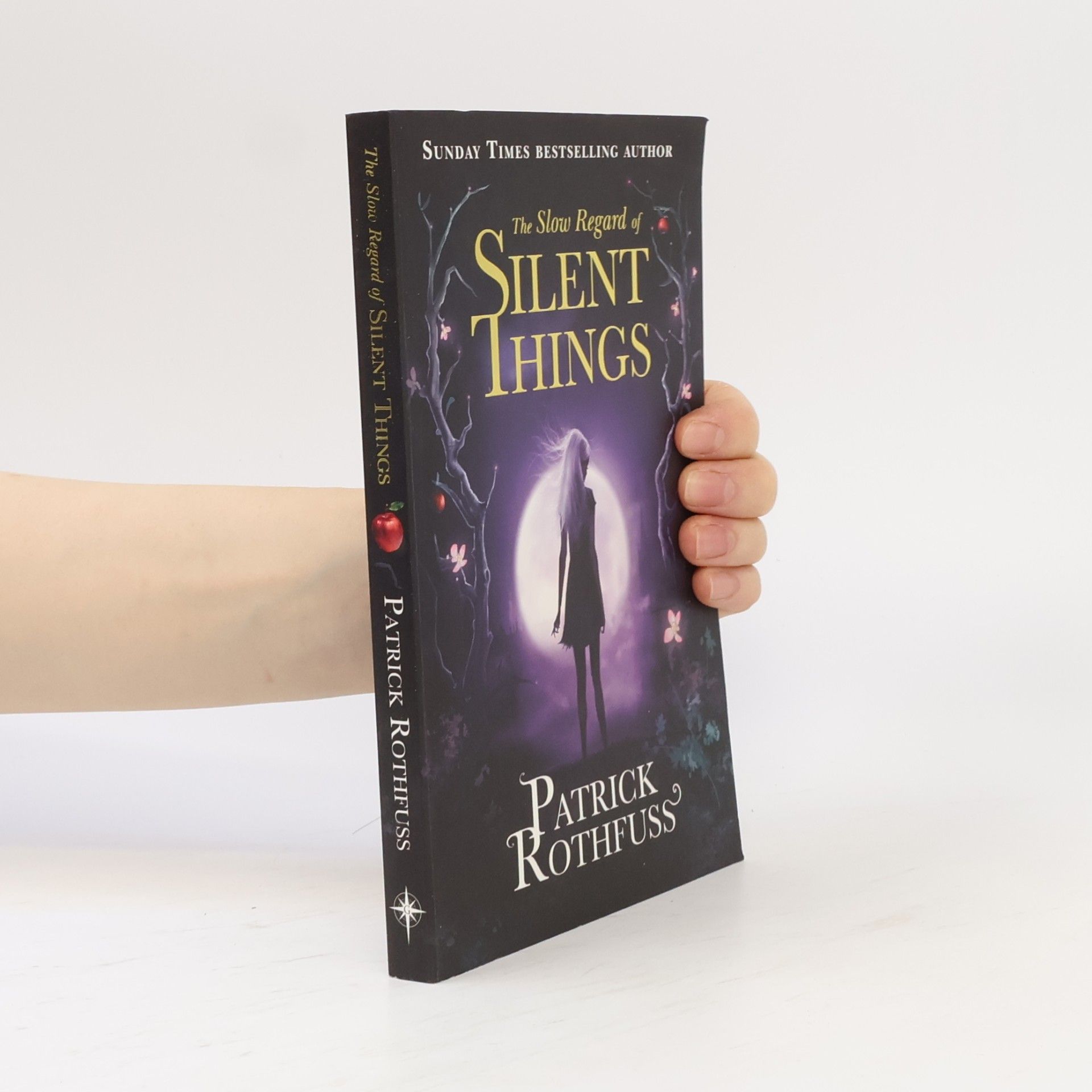 Patrick Rothfuss The Slow Regard of Silent Things