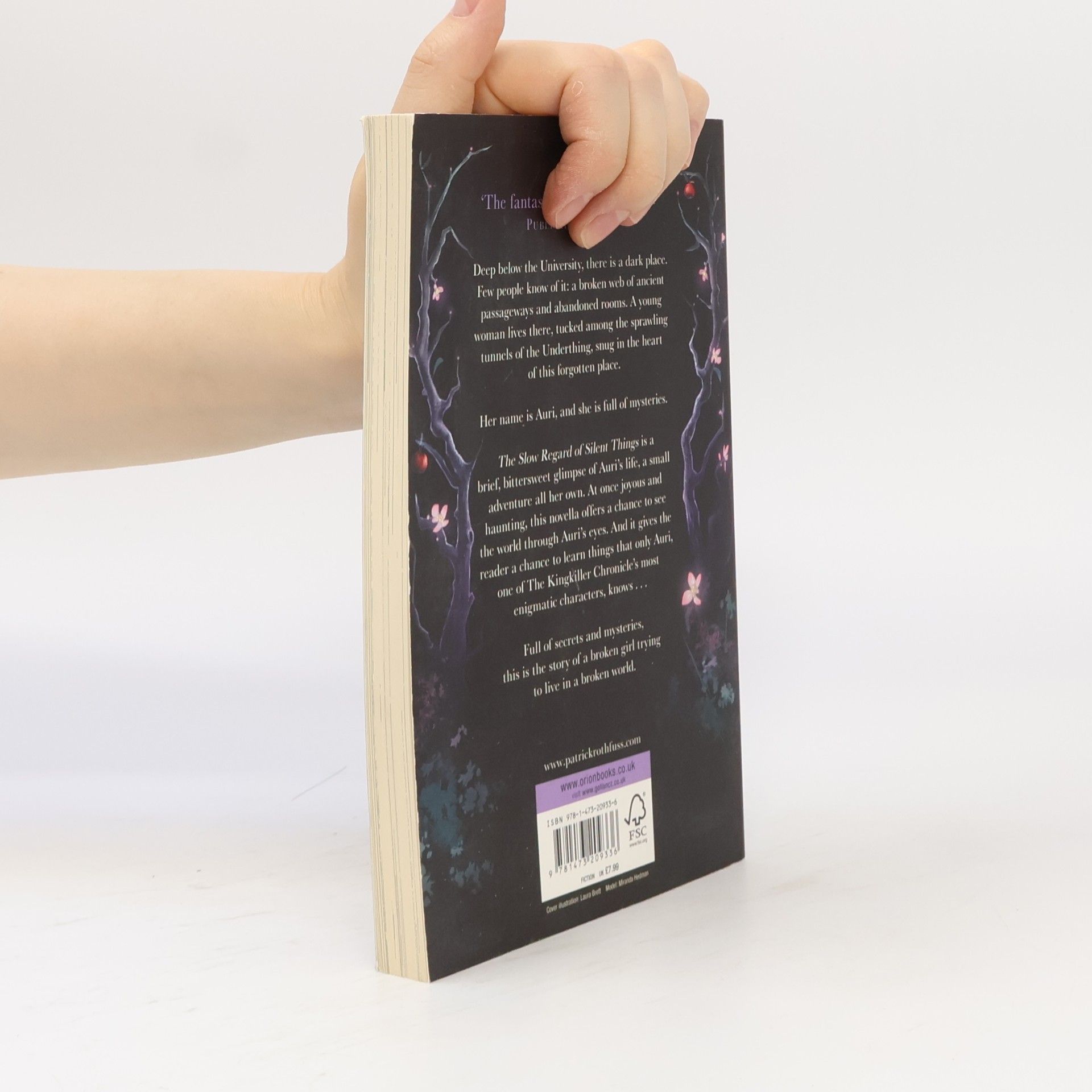 Patrick Rothfuss The Slow Regard of Silent Things