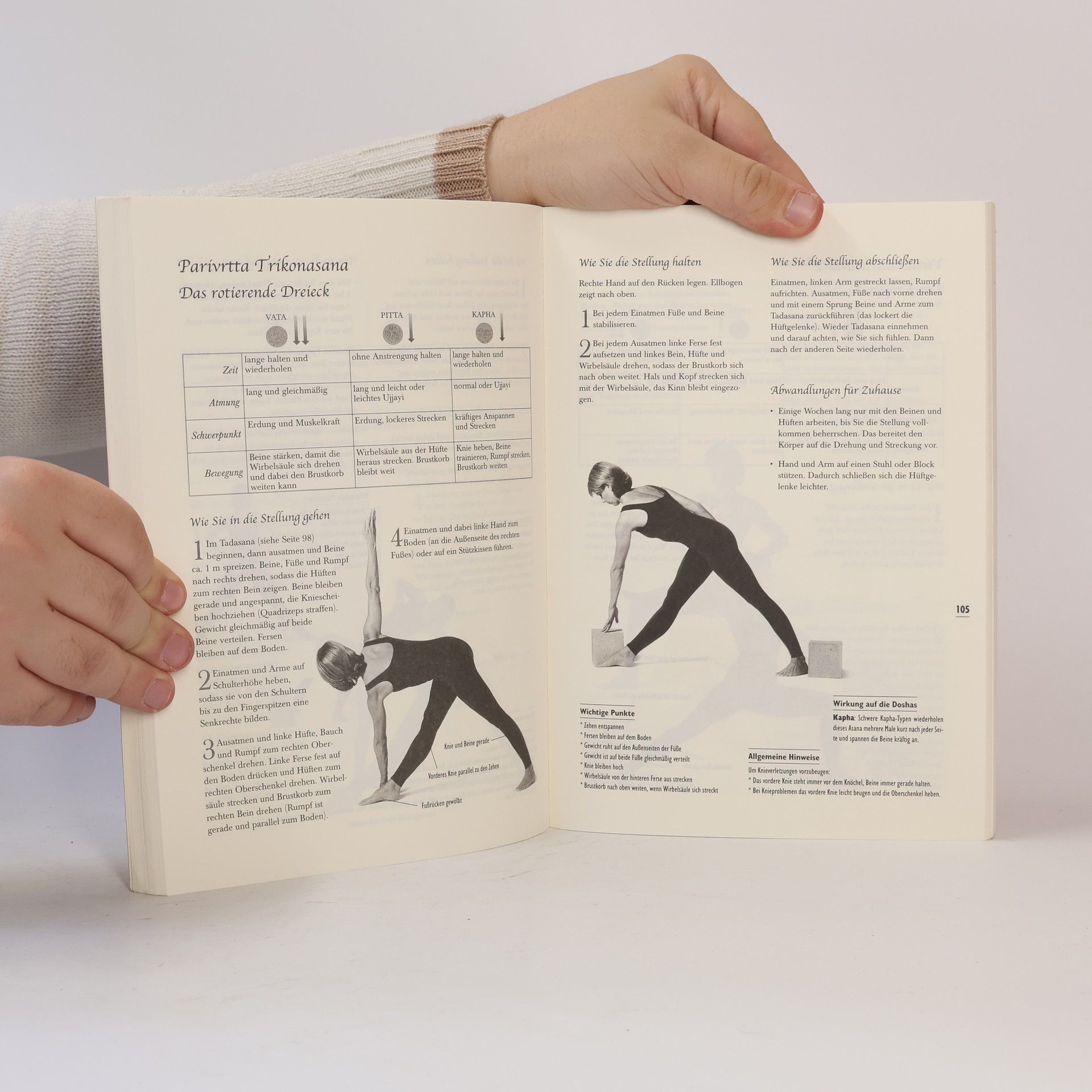David Frawley Yoga und die ayurvedischen Energietypen