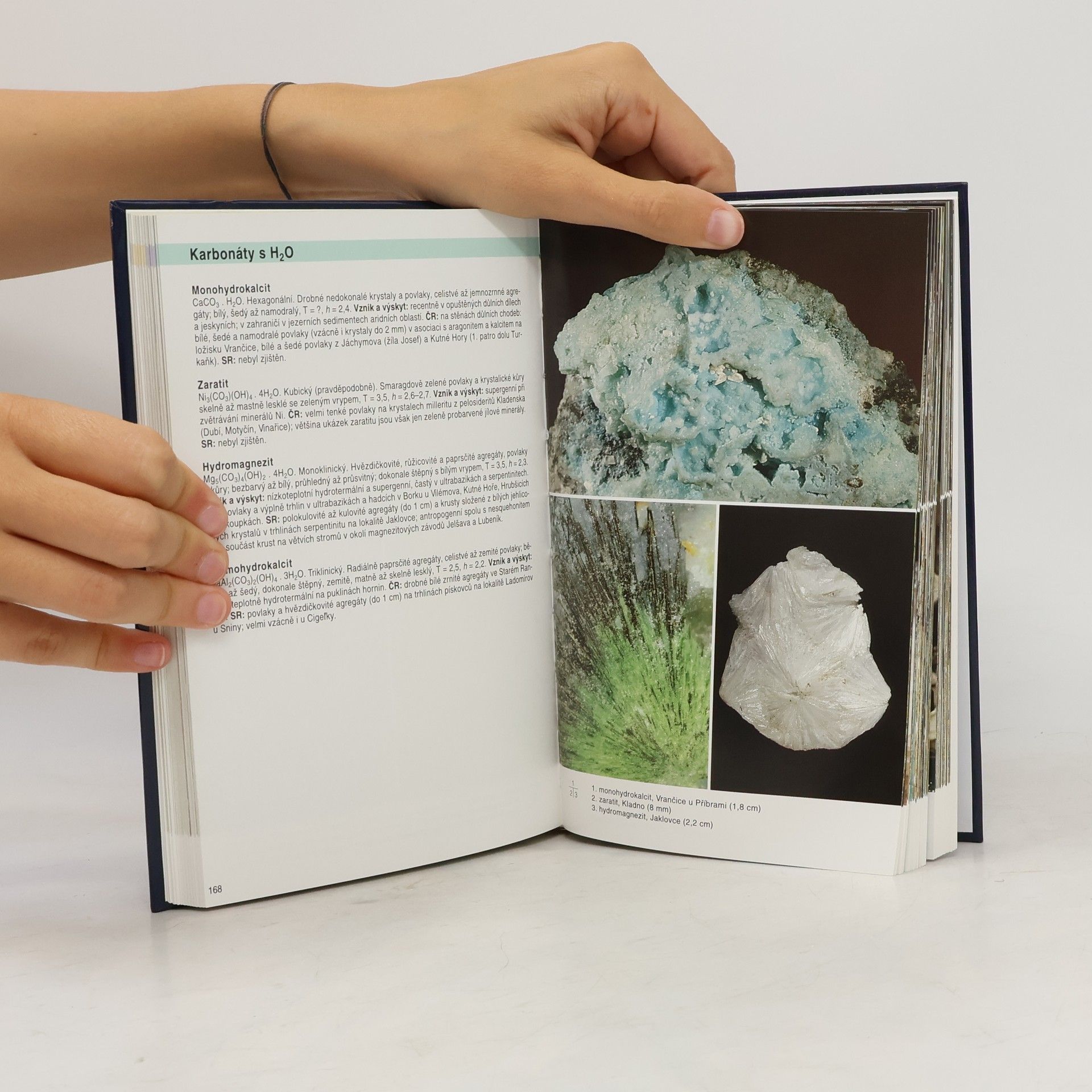 Jiří Sejkora Atlas minerálů České a Slovenské republiky
