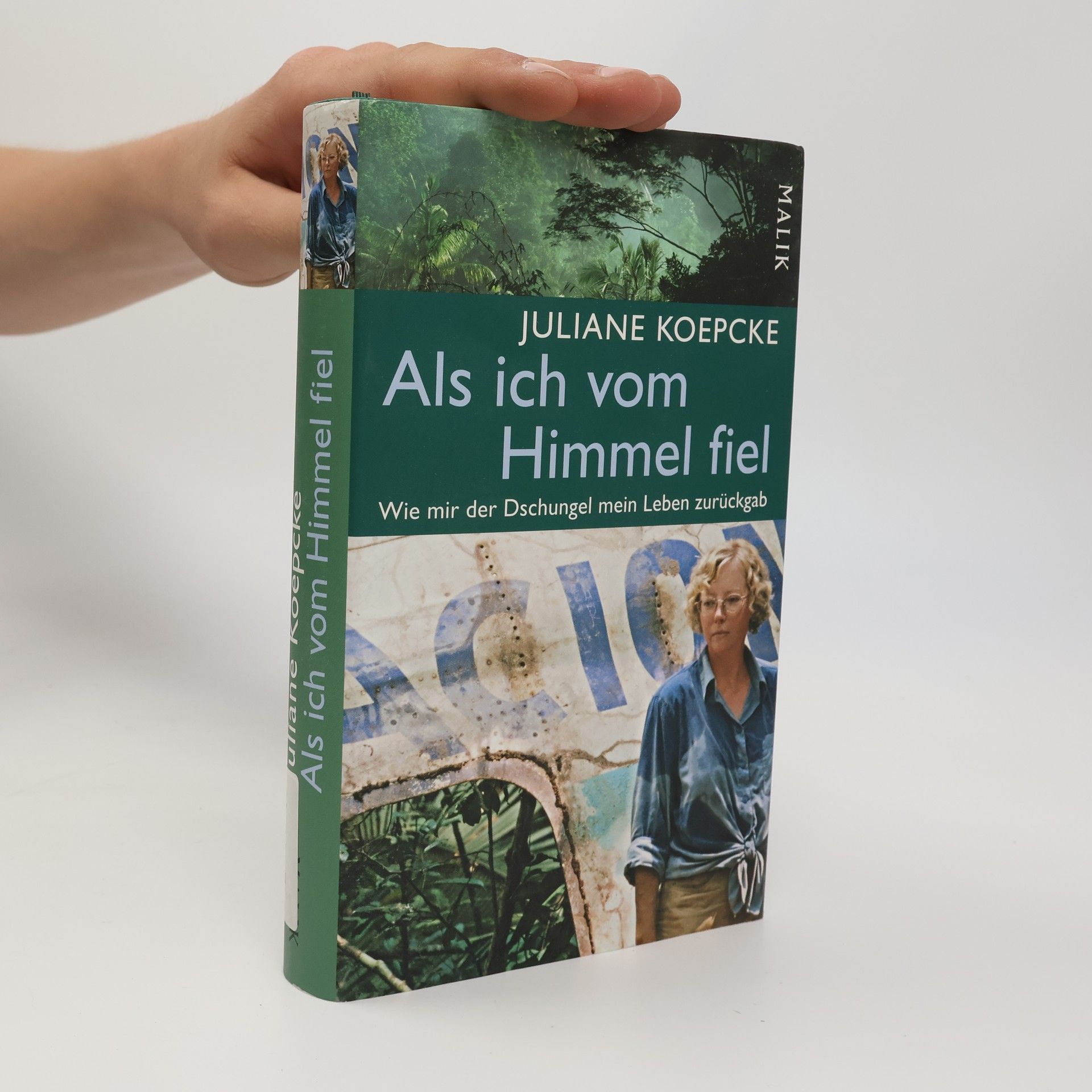 Juliane Diller Als ich vom Himmel fiel