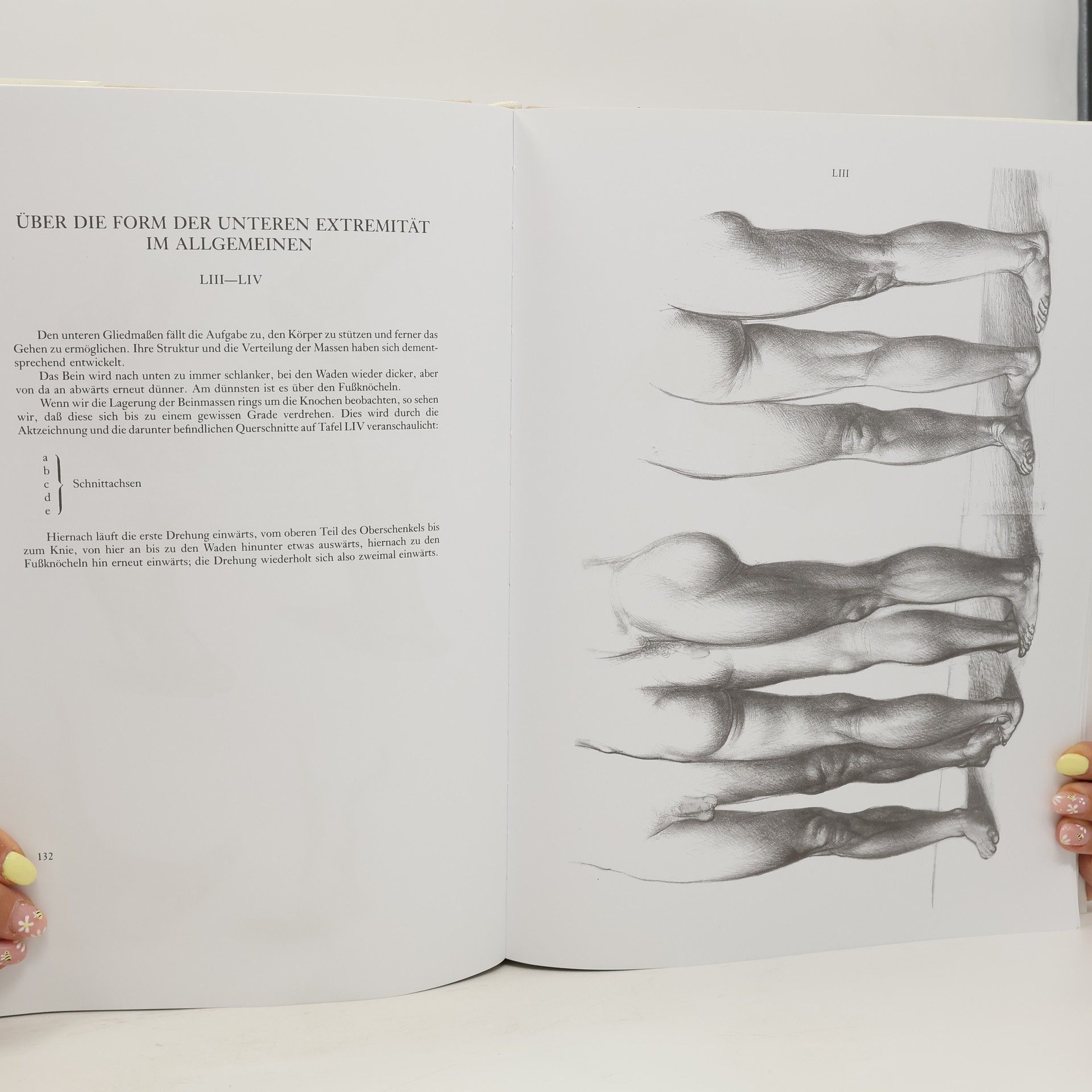 Jenö Barcsay Anatomie für Künstler