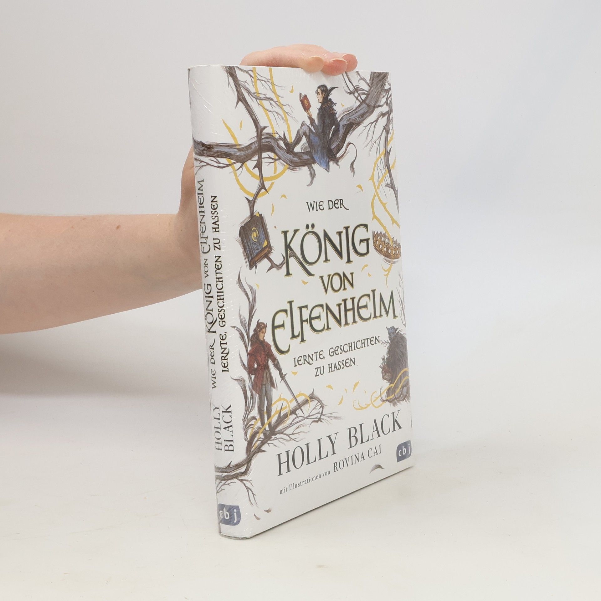 Holly Black Wie der König von Elfenheim lernte, Geschichten zu hassen