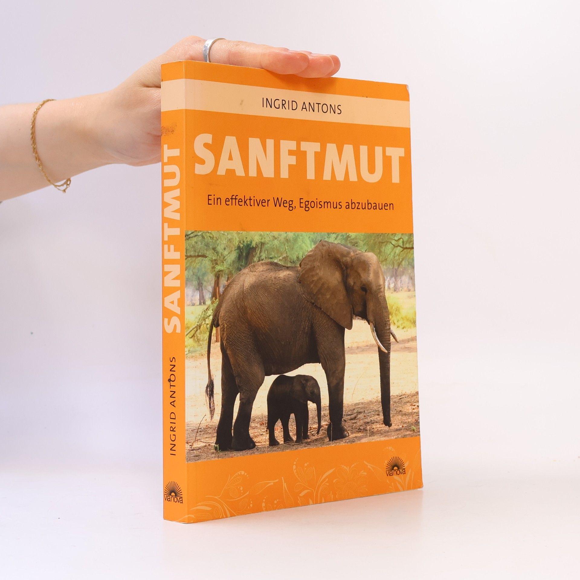 Ingrid Antons Sanftmut