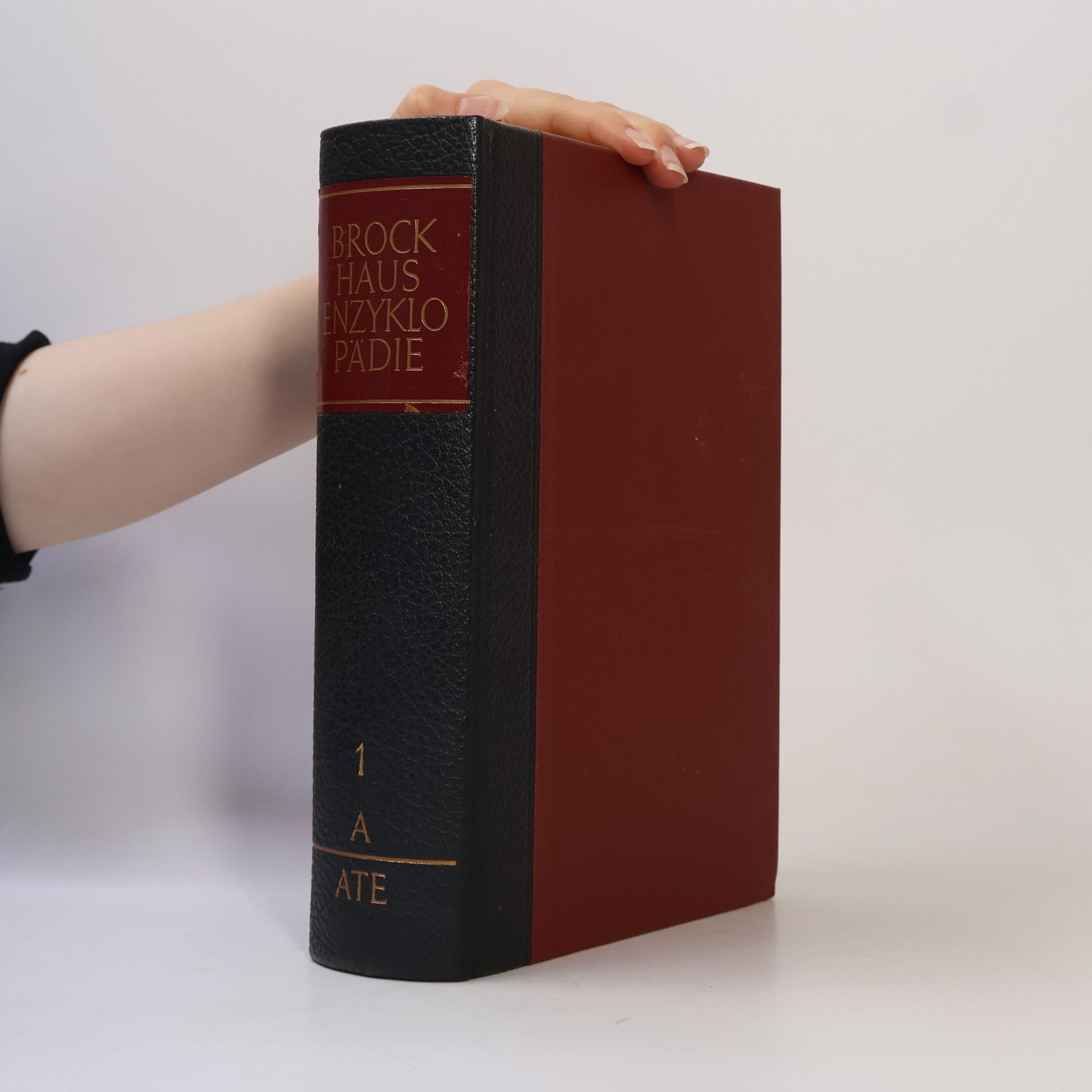 Collectif d'auteurs Brockhaus Enzyklopädie 1. A-ATE