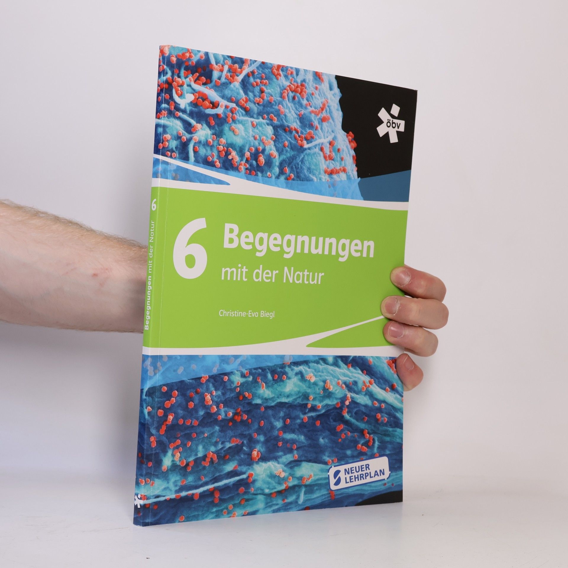 Autorenkollektiv 6 Begegnungen mit der Natur