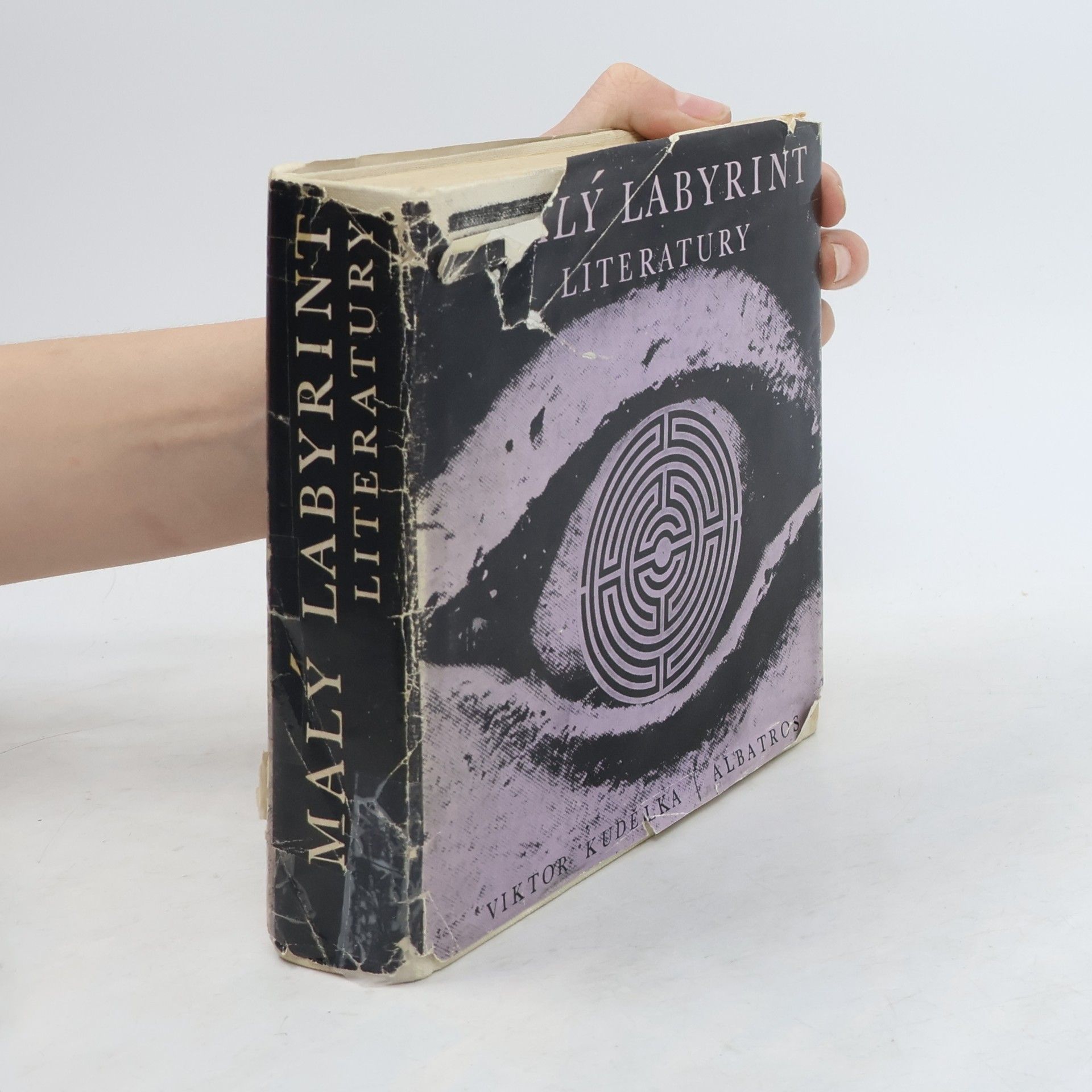 Viktor Kudělka Malý labyrint literatury