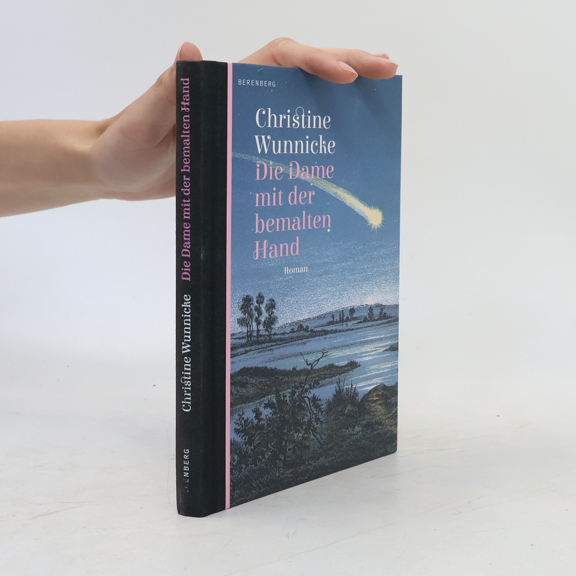 Christine Wunnicke Die Dame mit der bemalten Hand