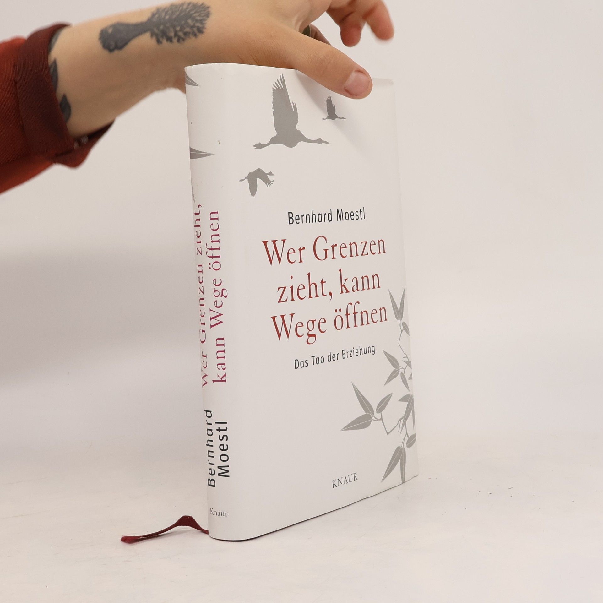 Bernhard Moestl Wer Grenzen zieht, kann Wege öffnen