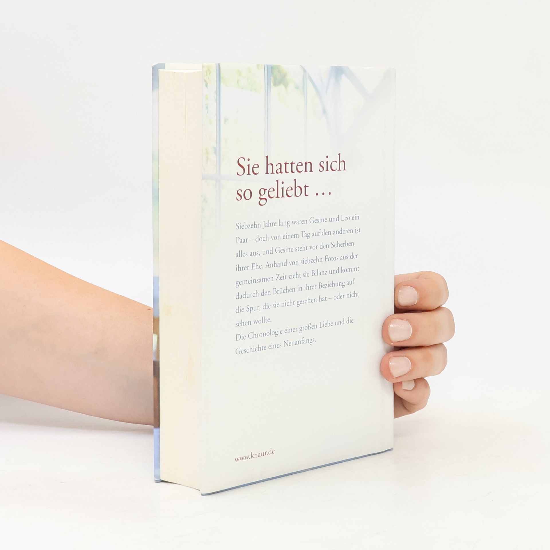 Annette Hohberg Alles, was bleibt