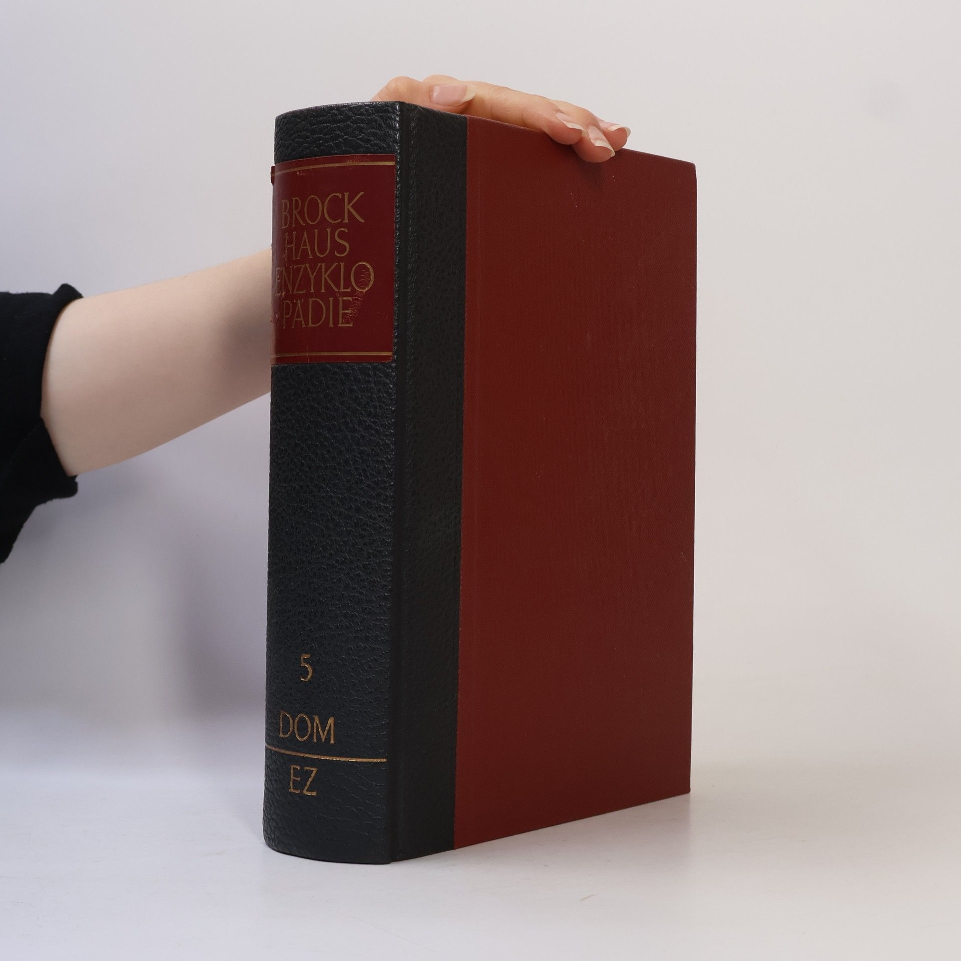 Collectif d'auteurs Brockhaus-Enzyklopädie 5