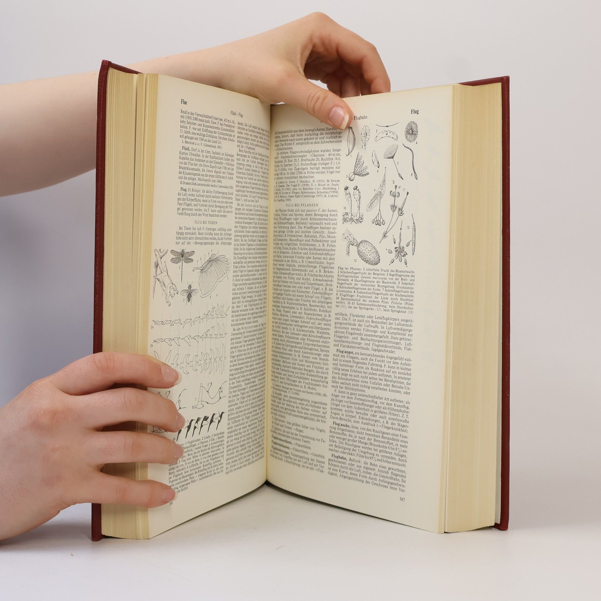 Various authors Brockhaus Enzyklopädie 6