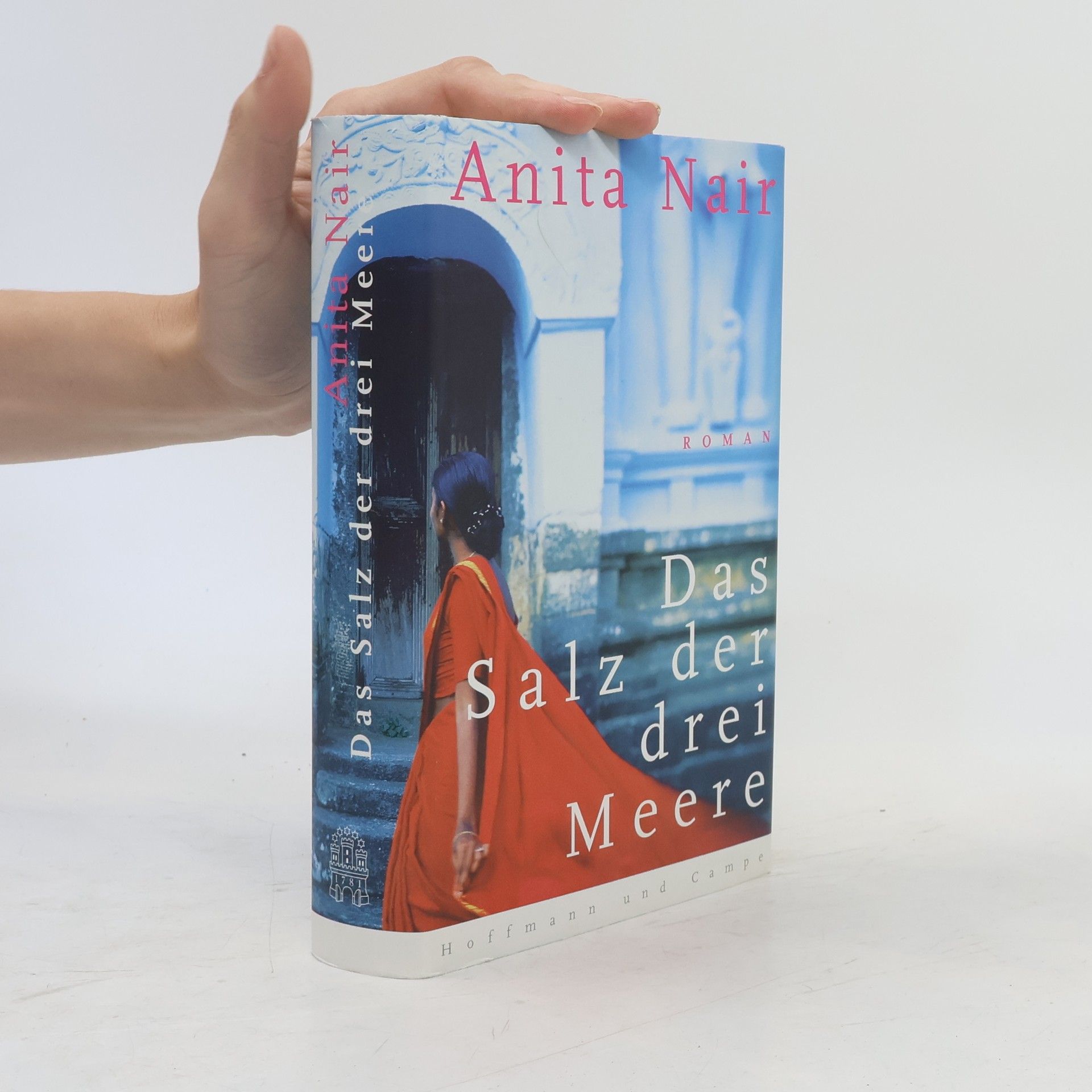 Anita Nair Das Salz der drei Meere