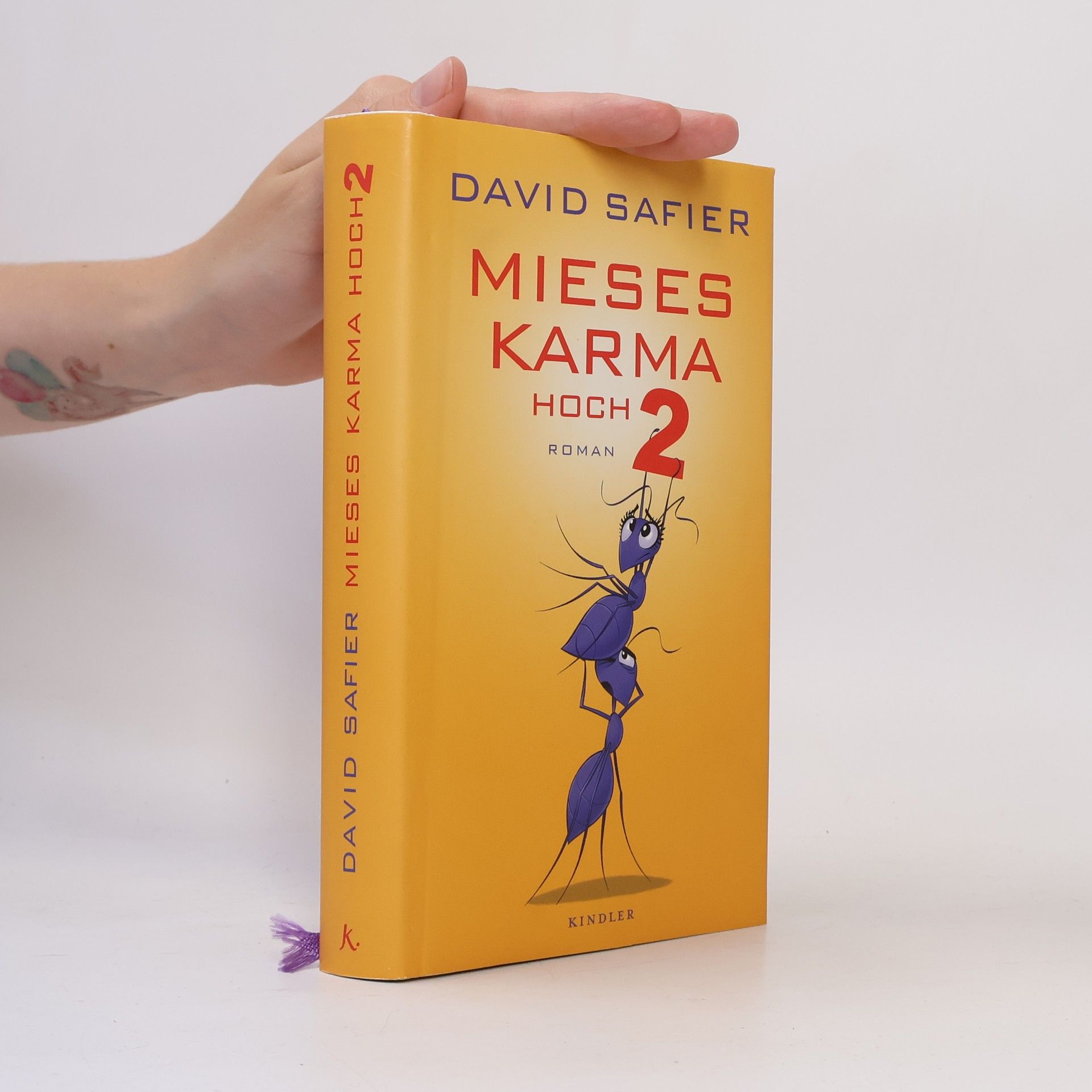 David Safier Mieses Karma hoch 2