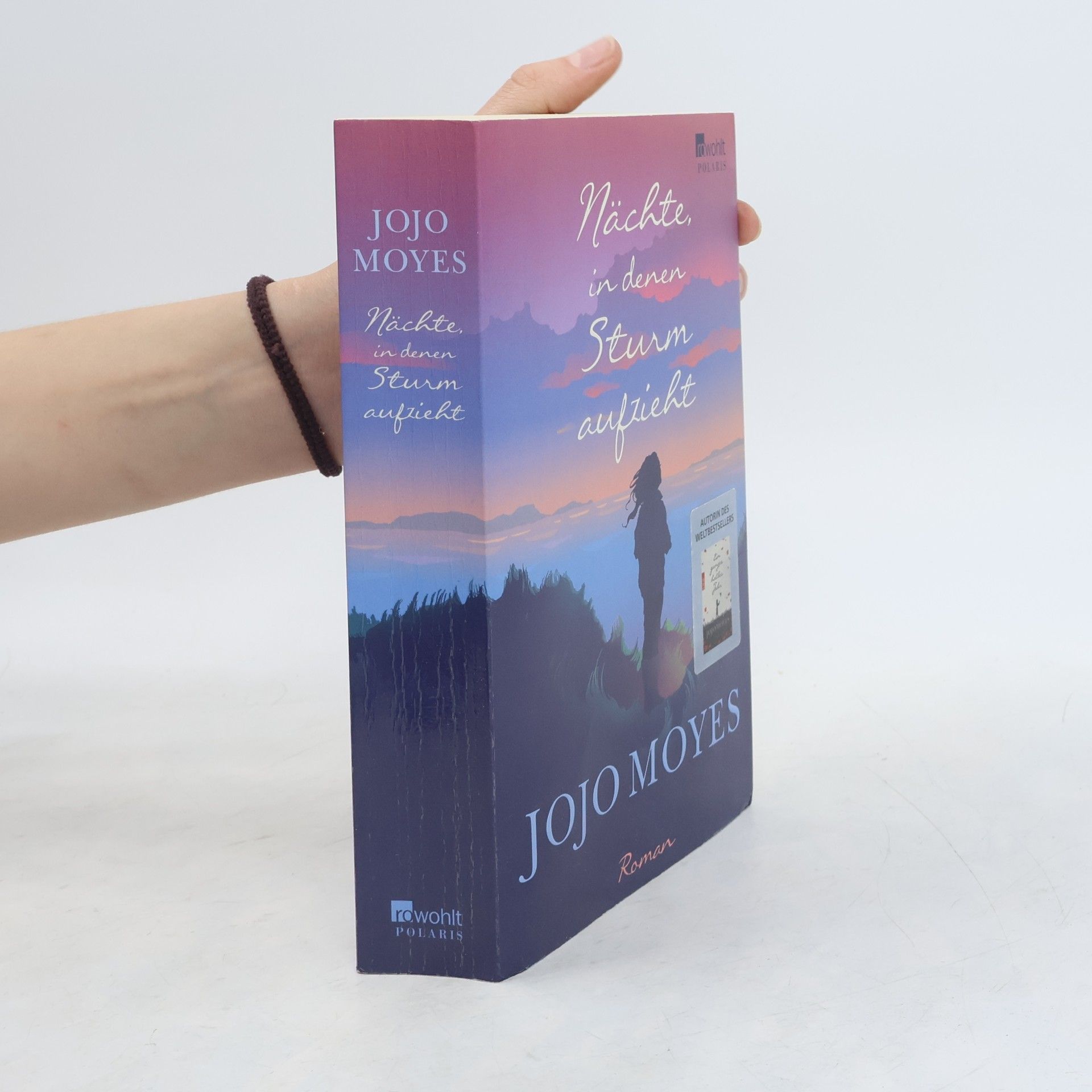 Jojo Moyes Nächte in denen Sturm aufzieht