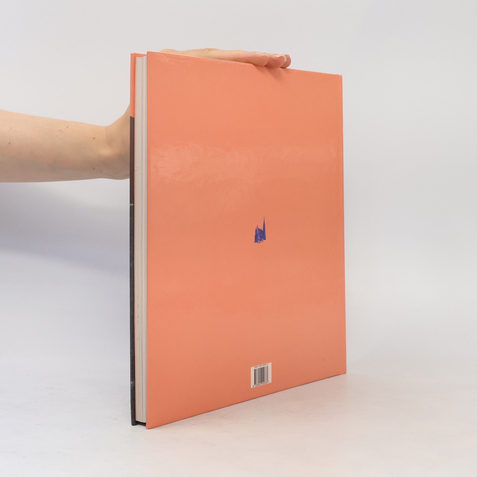 Christoph Wagner Manner. Das Kochbuch