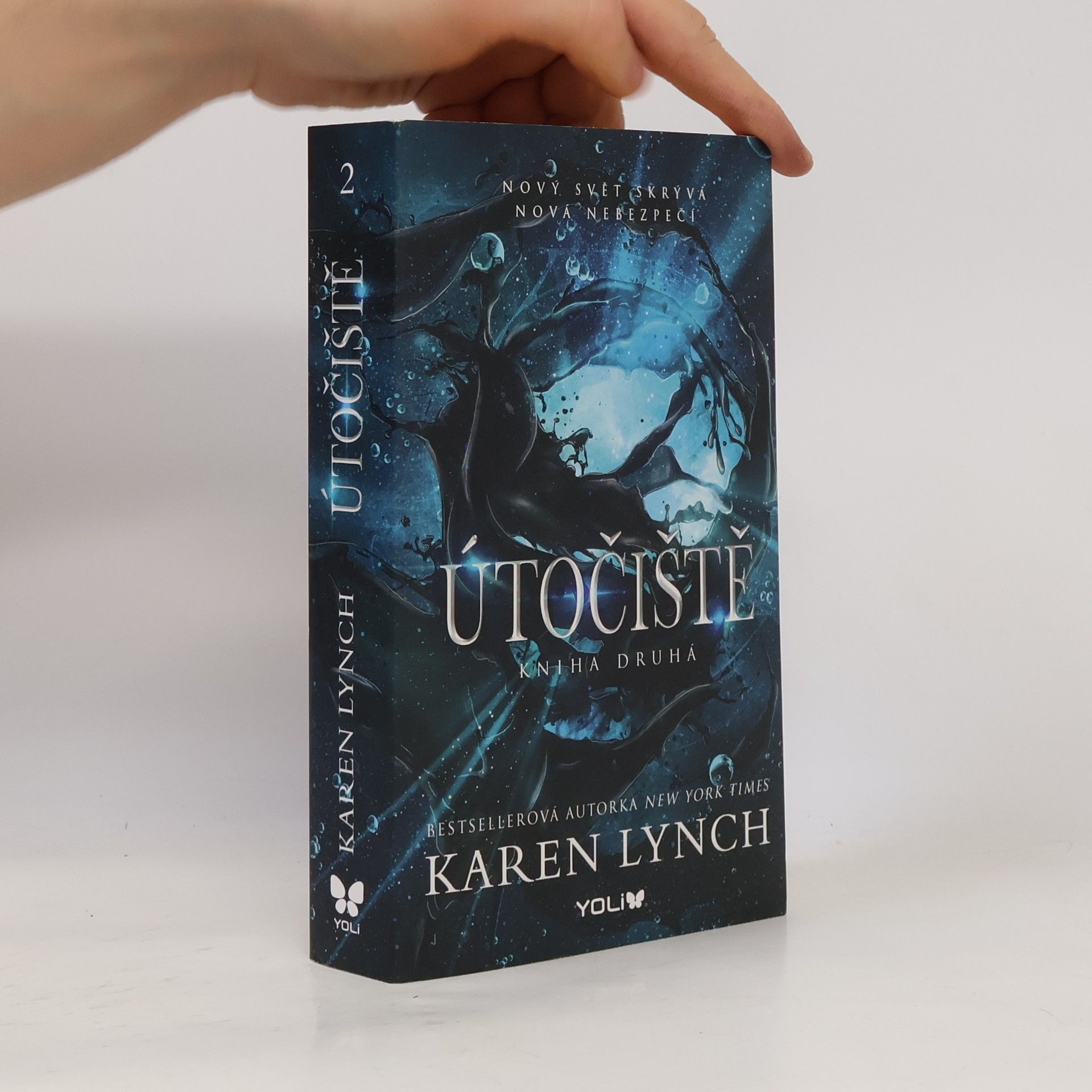Karen Karen A. Lynch Útočiště