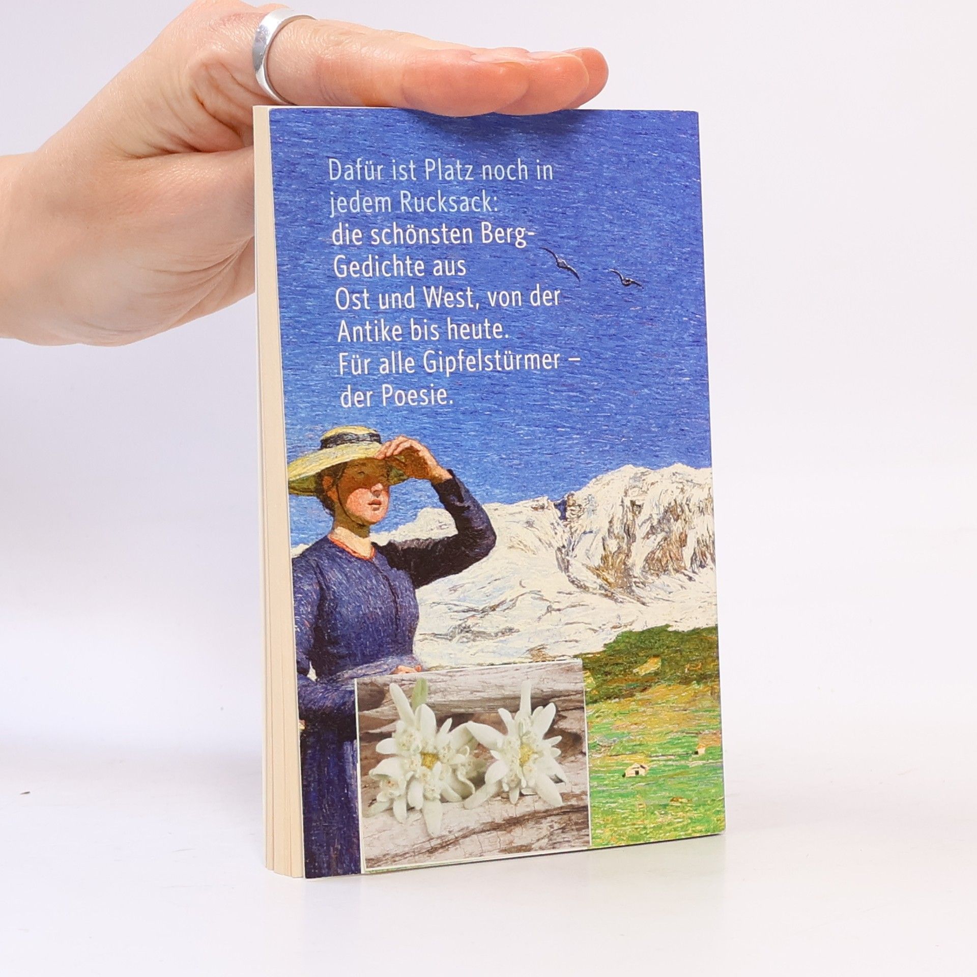 Dietmar Jaegle Reclams Universal-Bibliothek: Die Berge