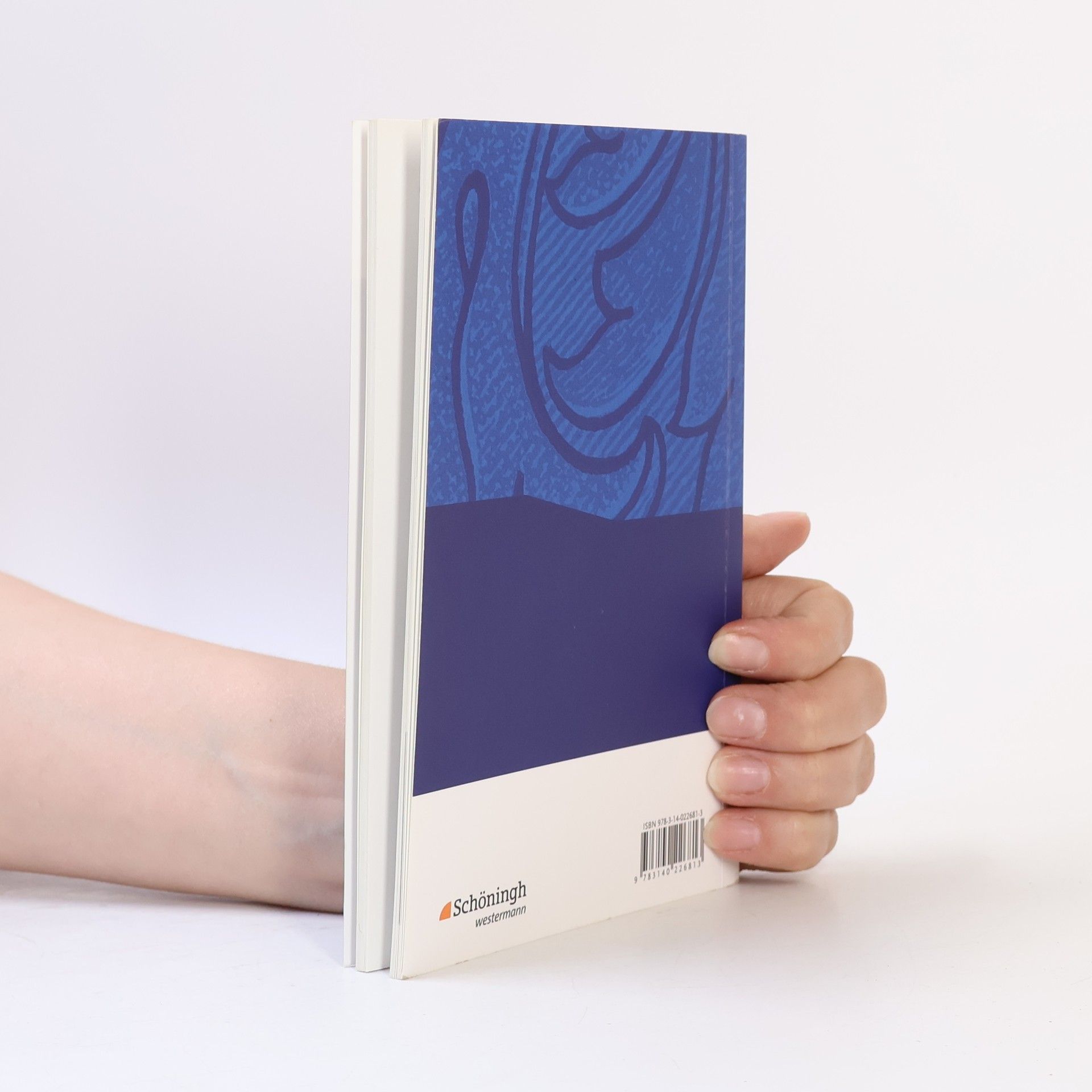 Alexandra Wölke Euripides: Medea