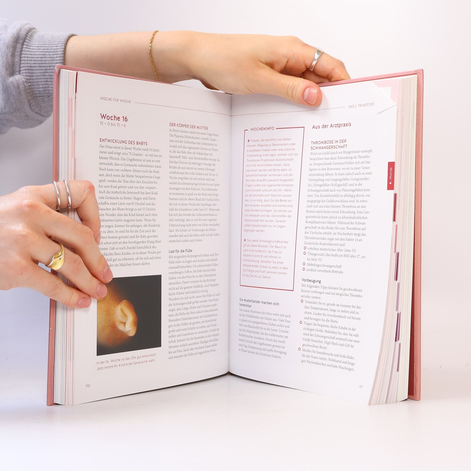 Franz Kain Das grosse Buch zur Schwangerschaft