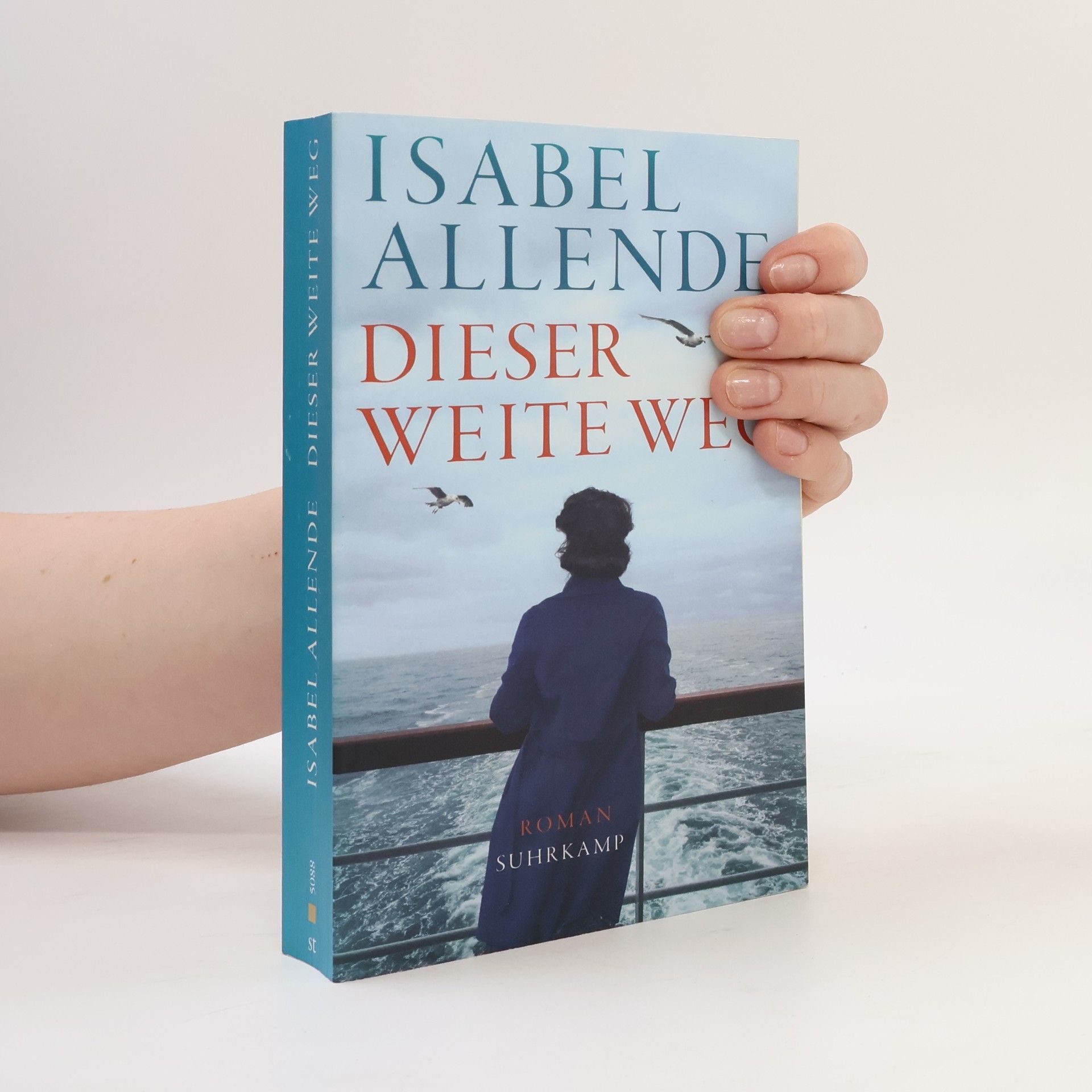 Isabel Allende Dieser weite Weg