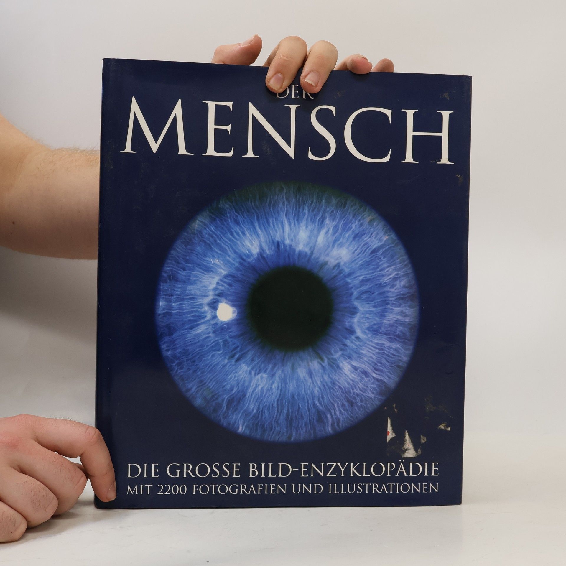Collectif d'auteurs Der Mensch