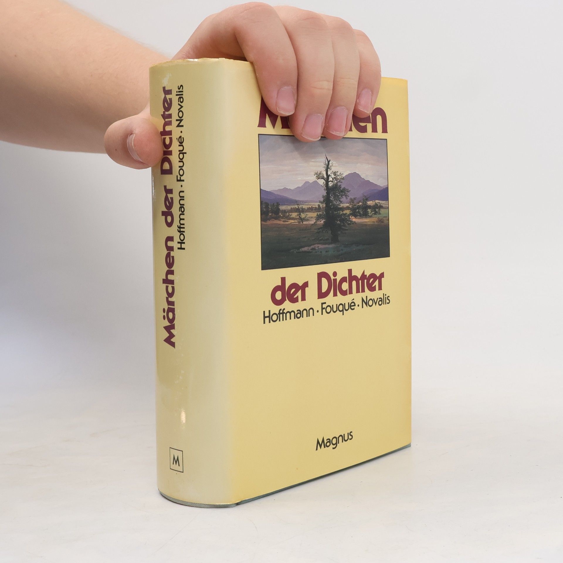 Kolektiv autorů Märchen der Dichter. E.T.A. Hoffmann, Fouque, Novalis