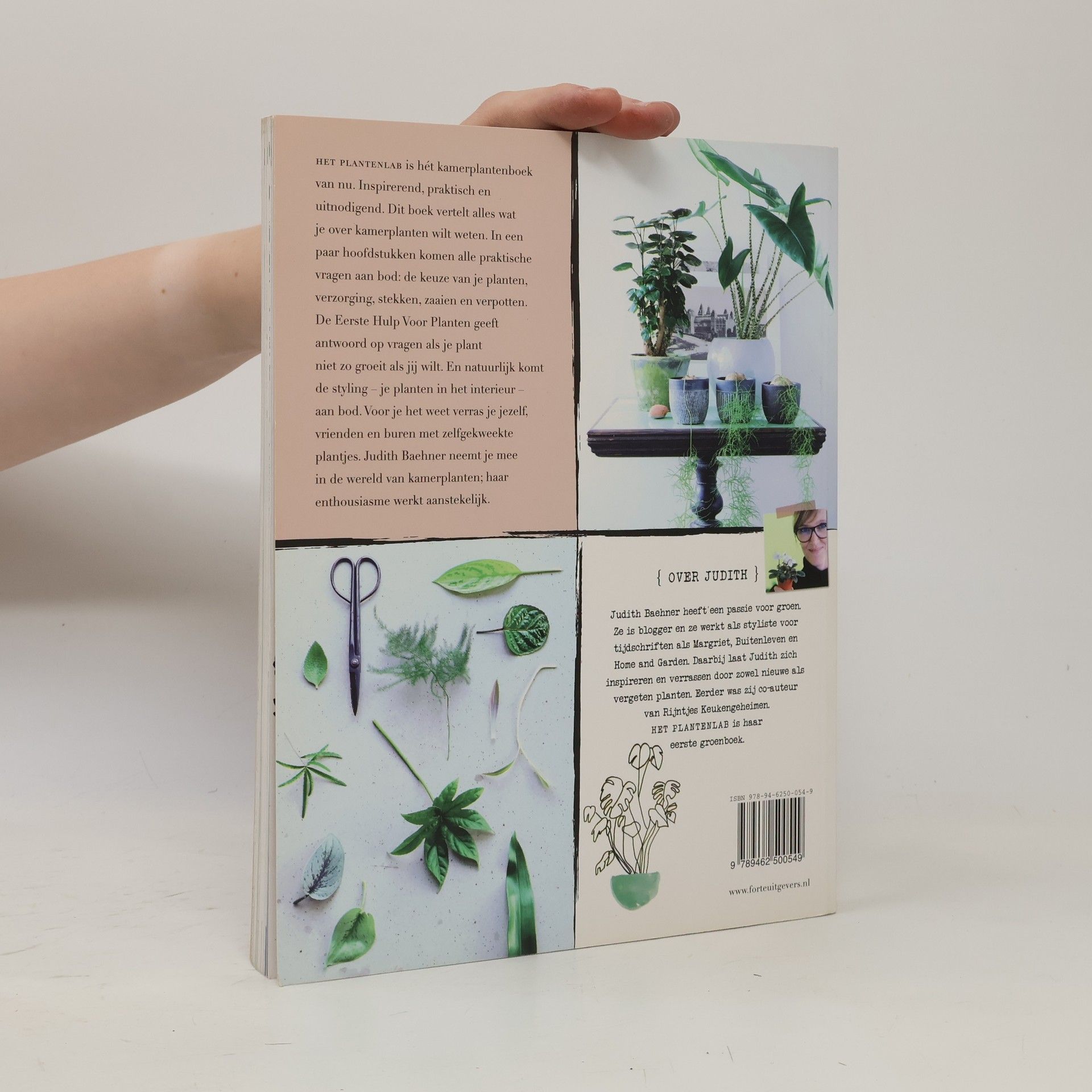 Judith Baehner Het Plantenlab