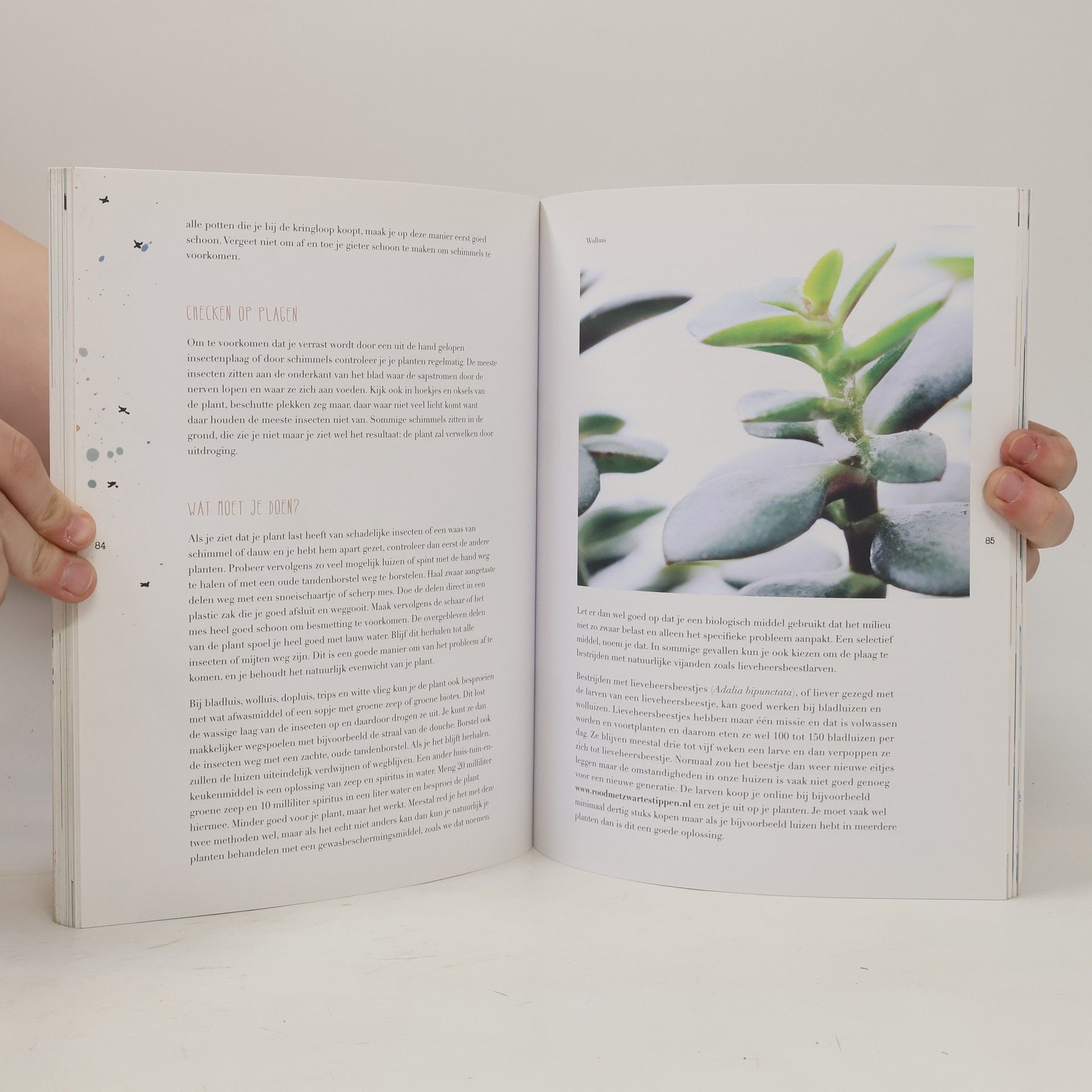 Judith Baehner Het Plantenlab