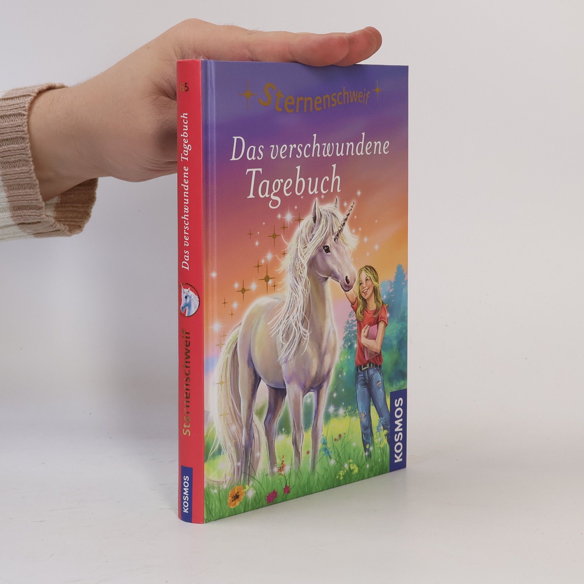 Anne Scheller Das verschwundene Tagebuch